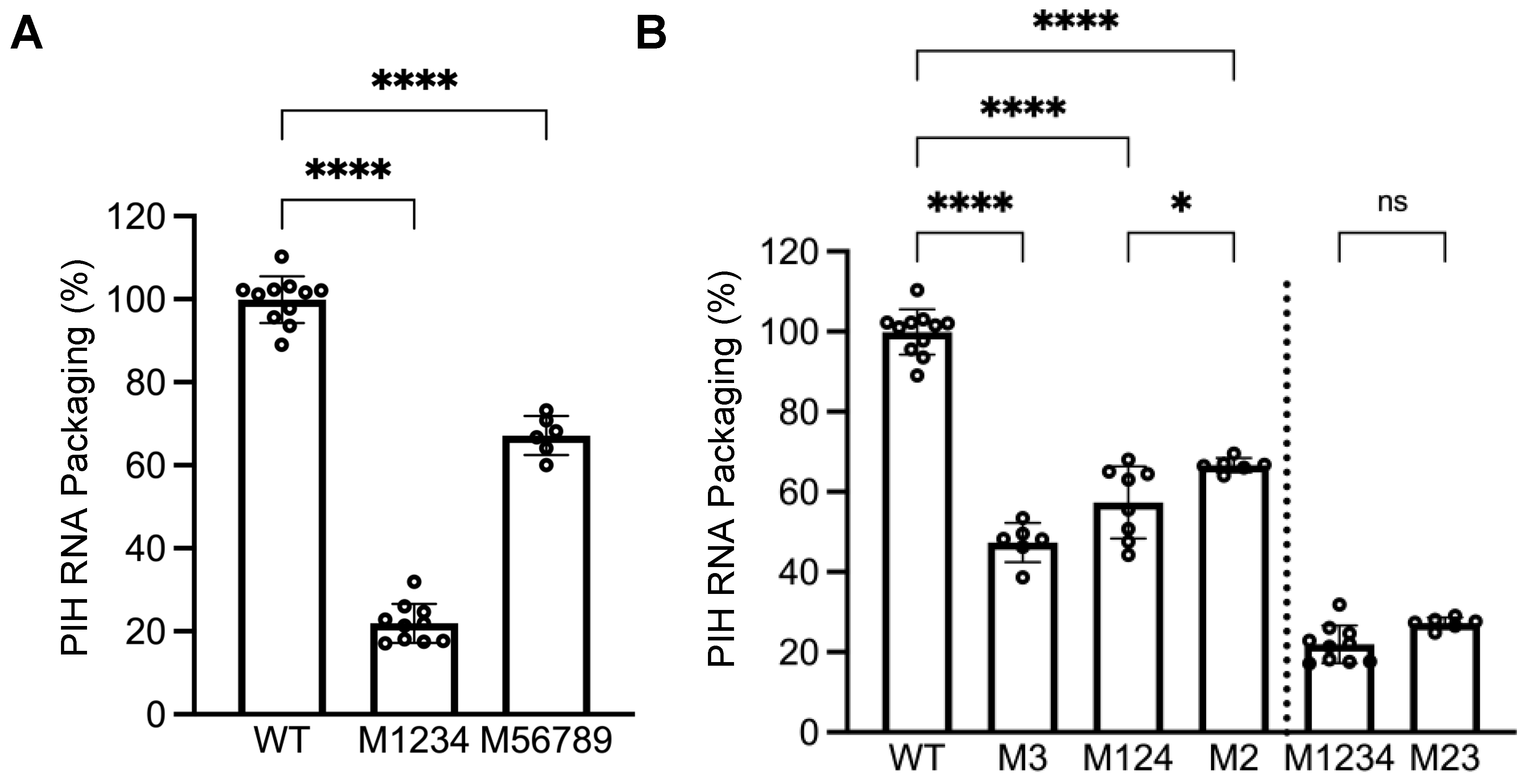 Viruses 17 00551 g004