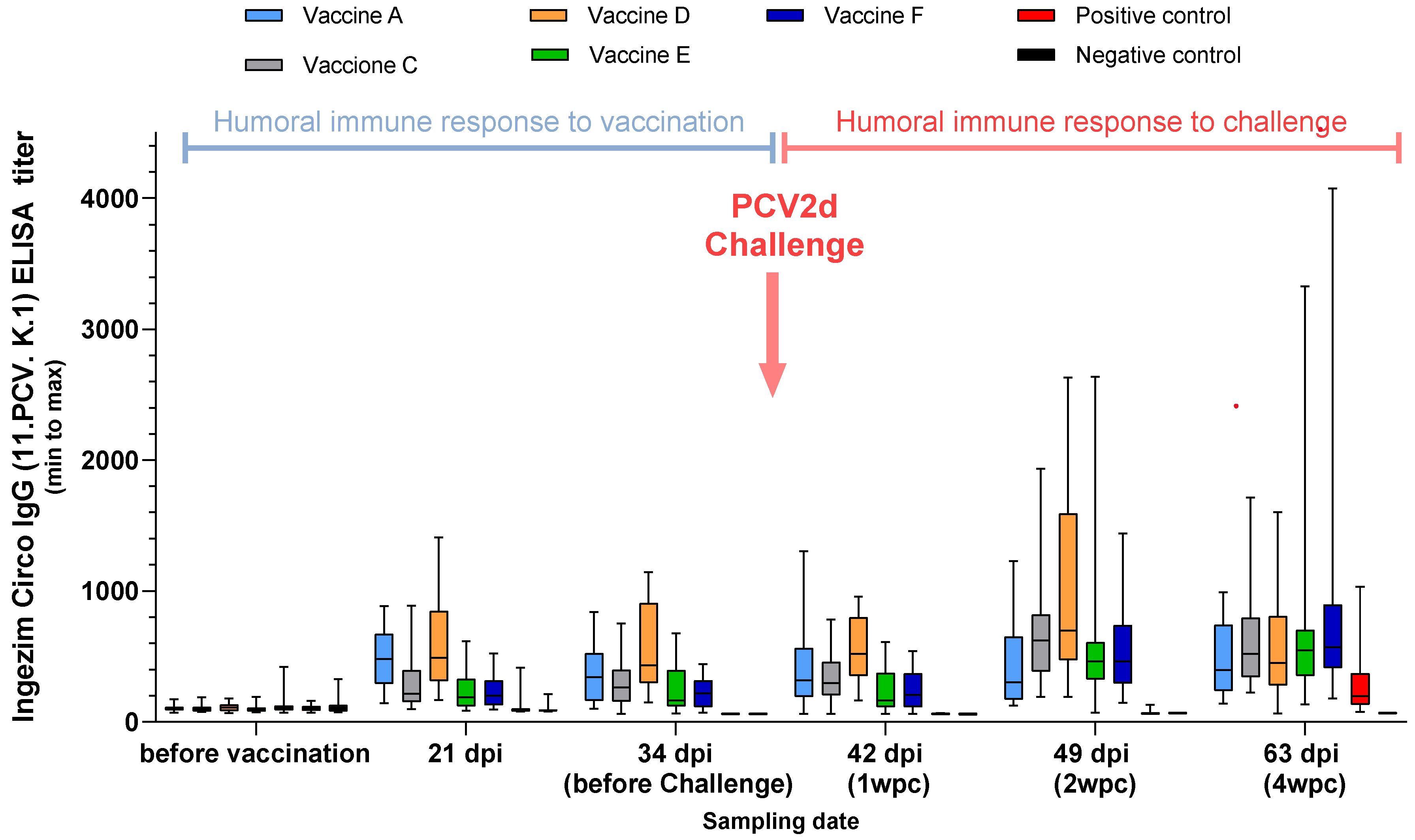 Viruses 17 00554 g003