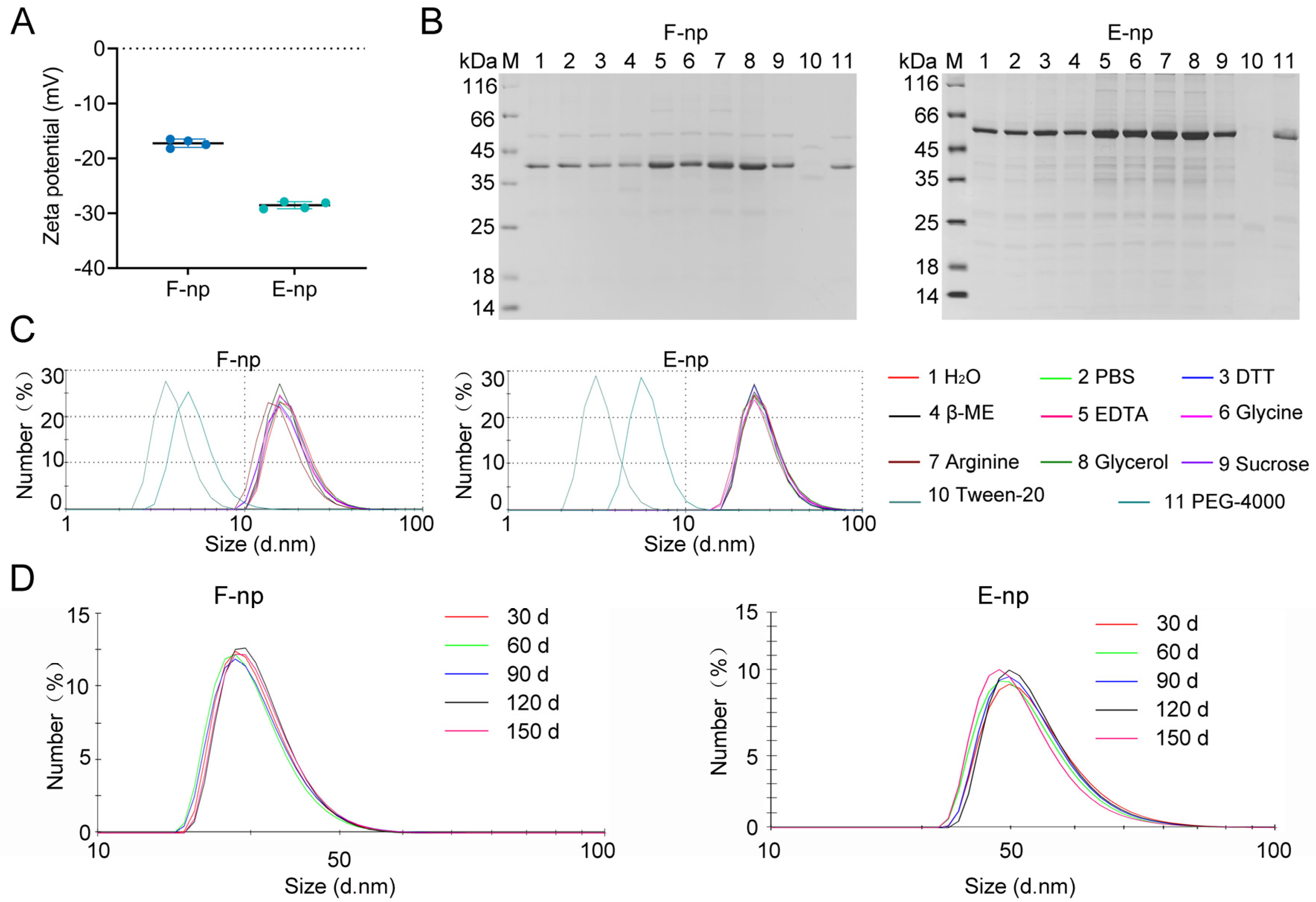 Viruses 17 00556 g002
