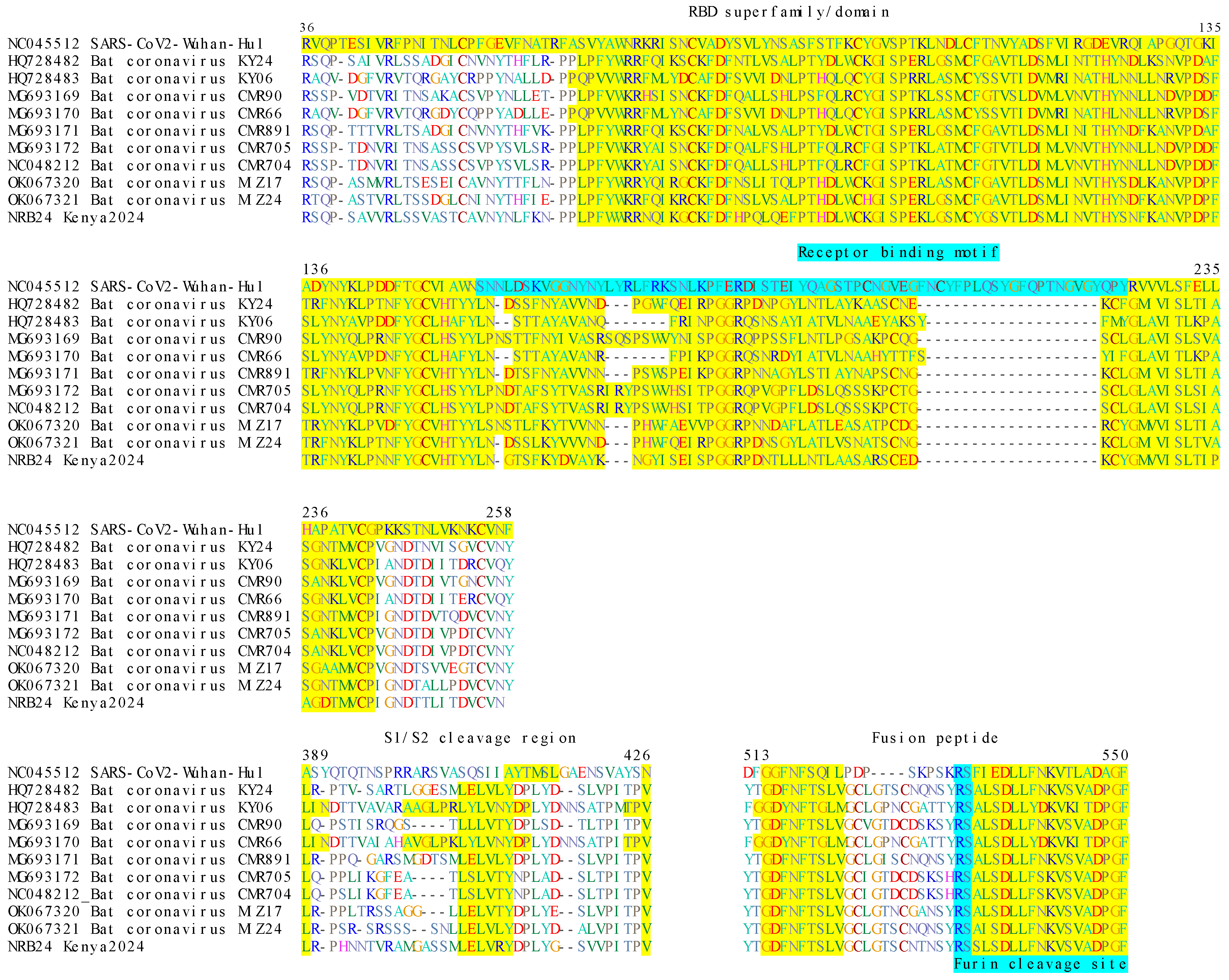 Viruses 17 00557 g005