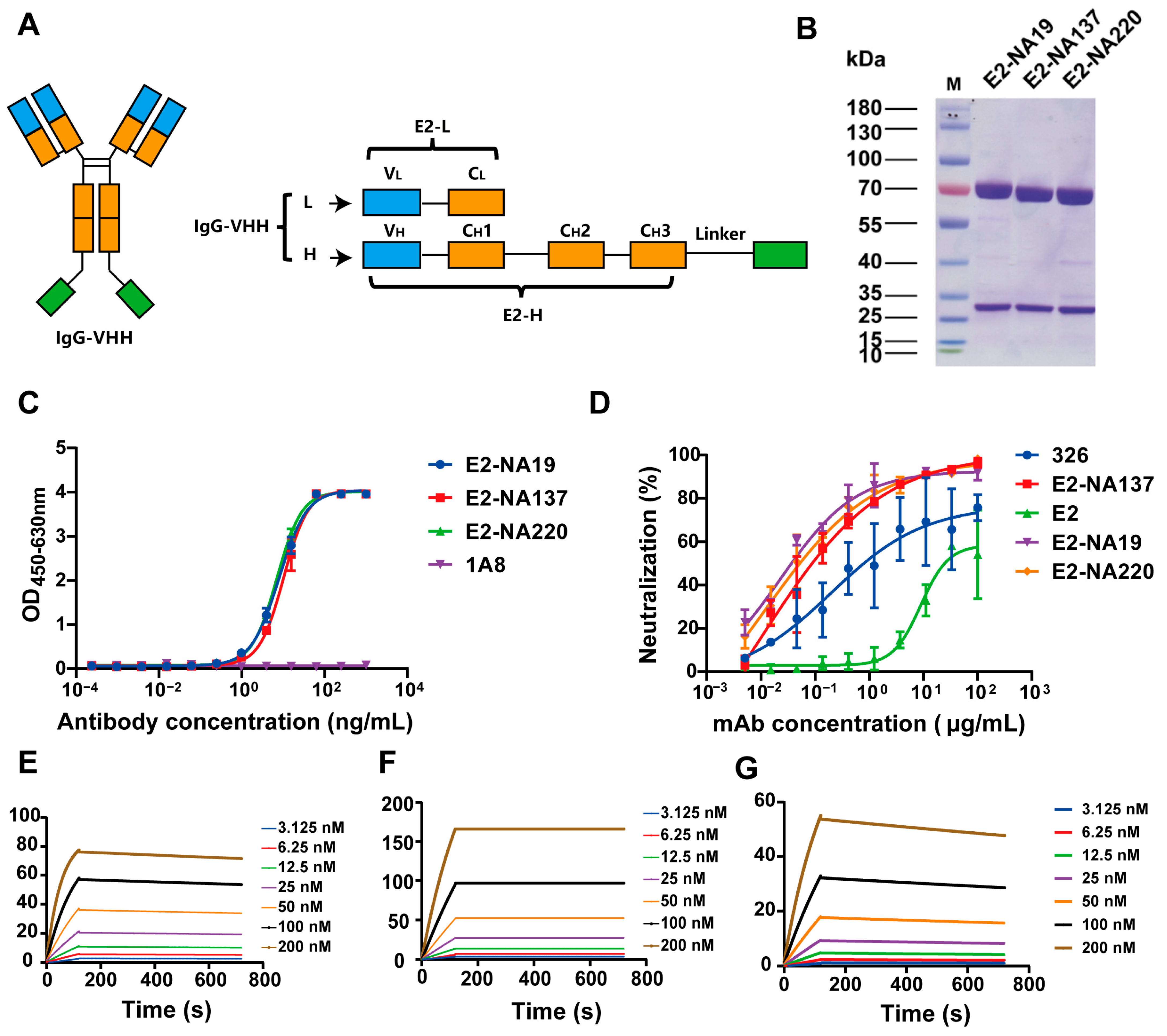 Viruses 17 00559 g003