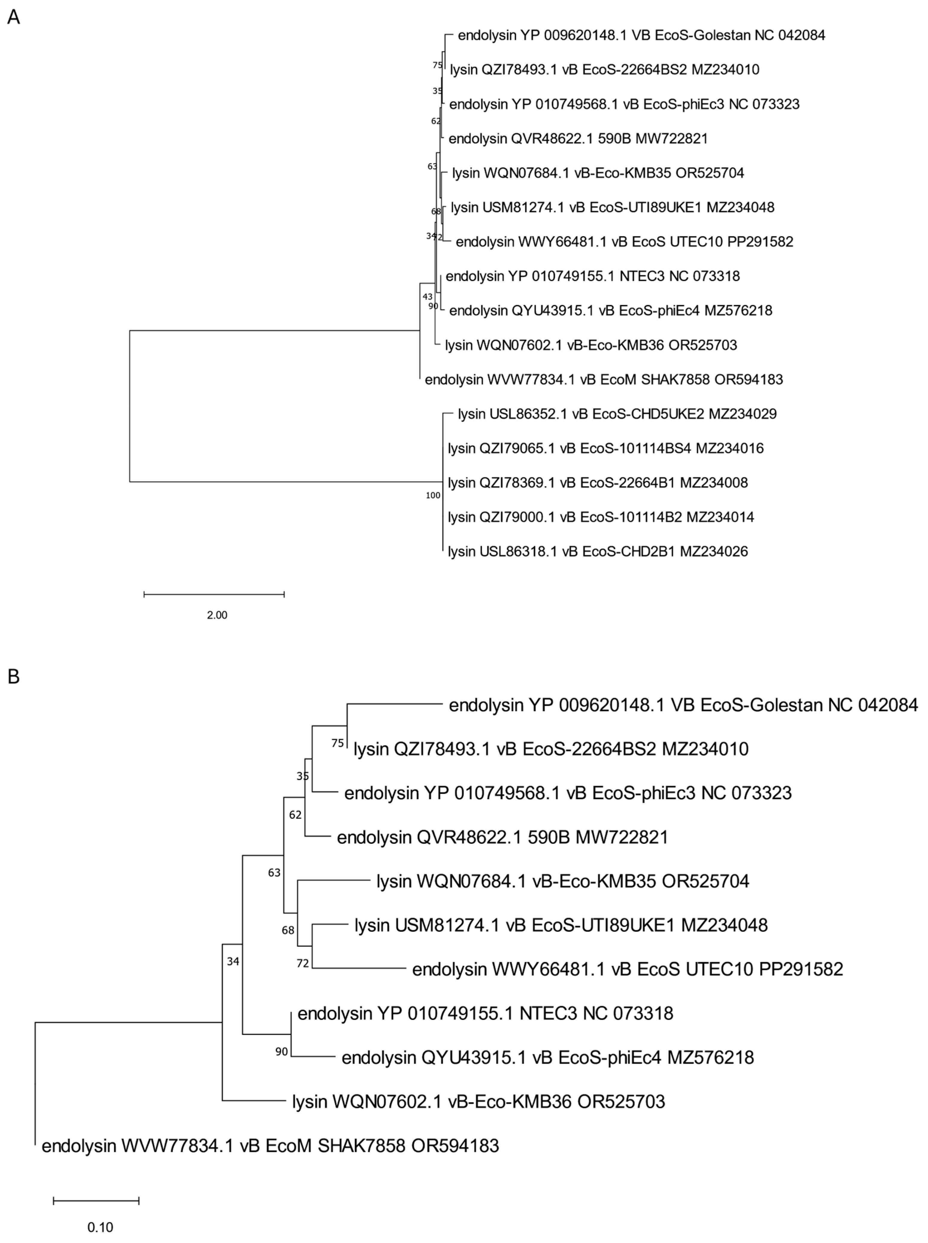 Viruses 17 00560 g001
