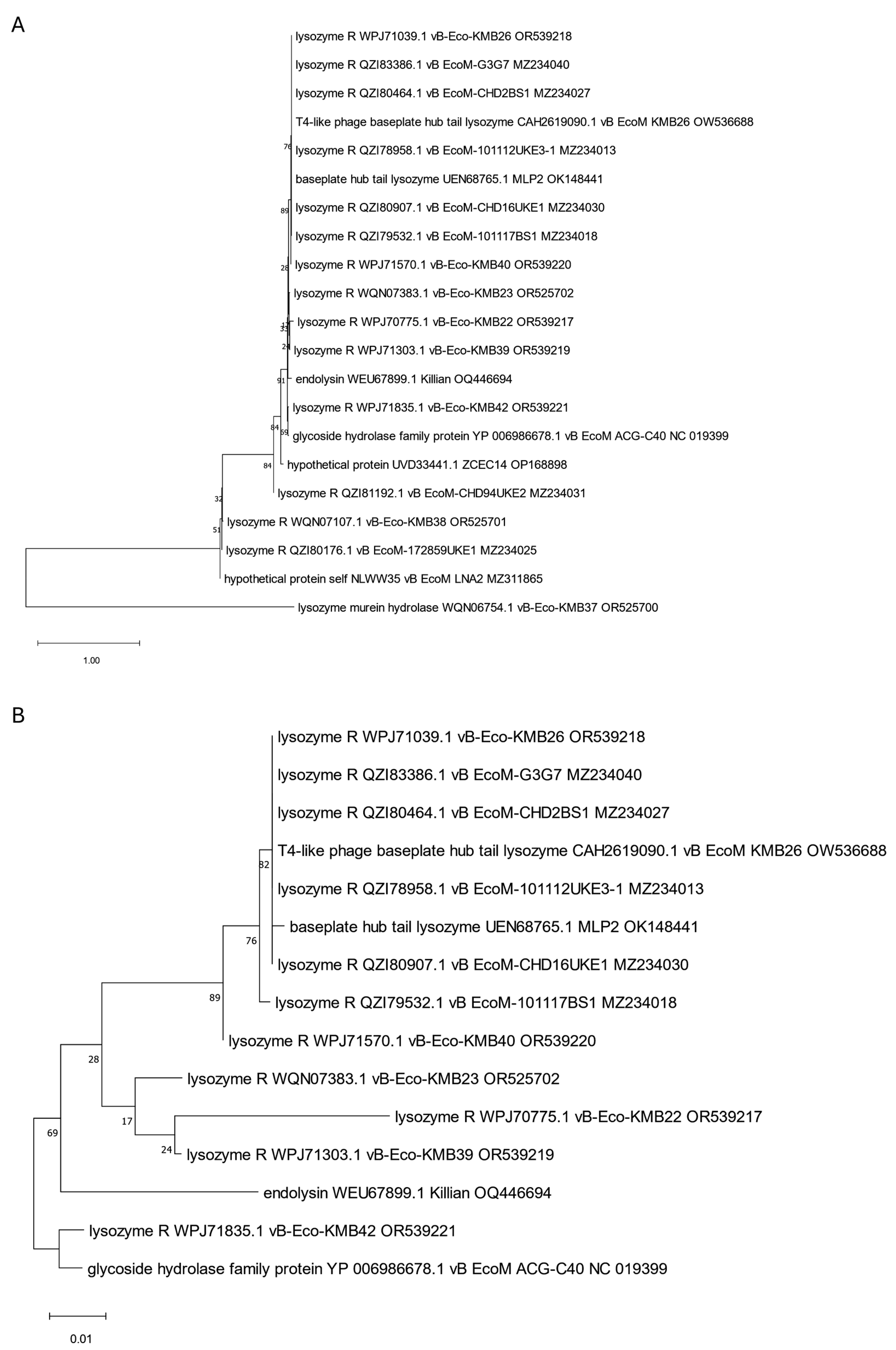 Viruses 17 00560 g002