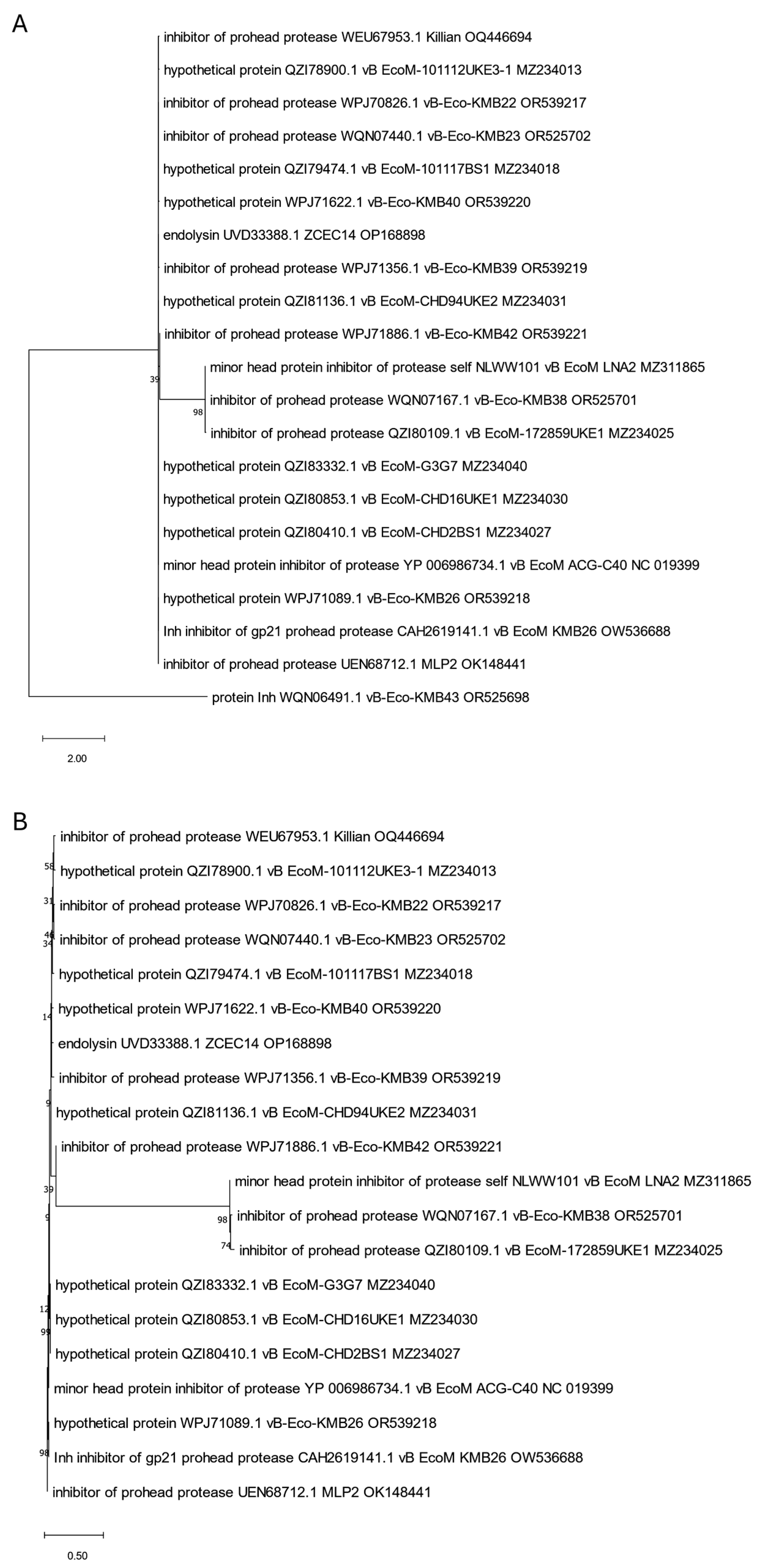Viruses 17 00560 g010