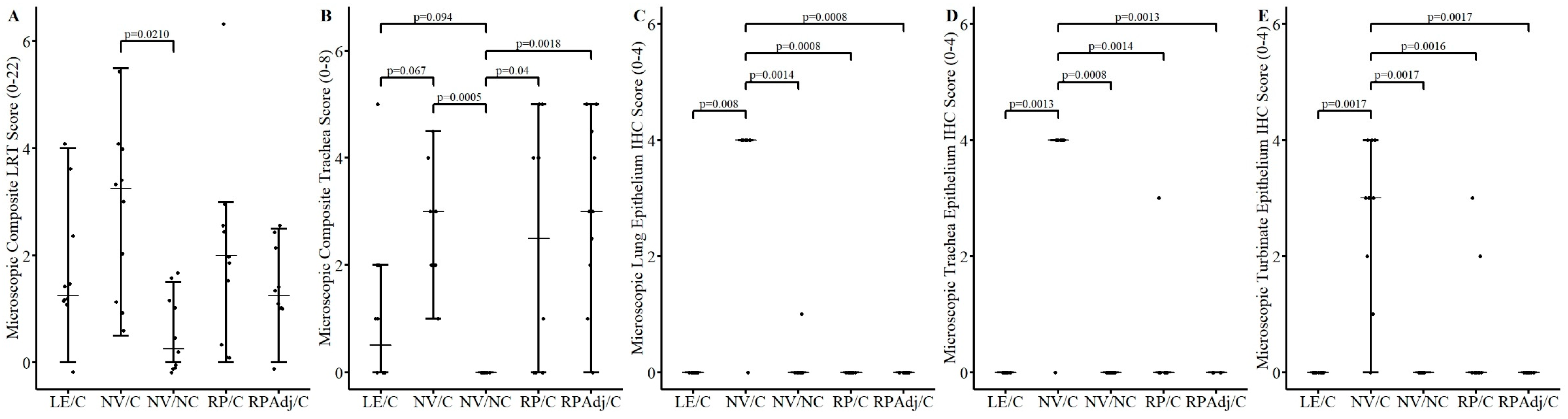 Viruses 17 00565 g002