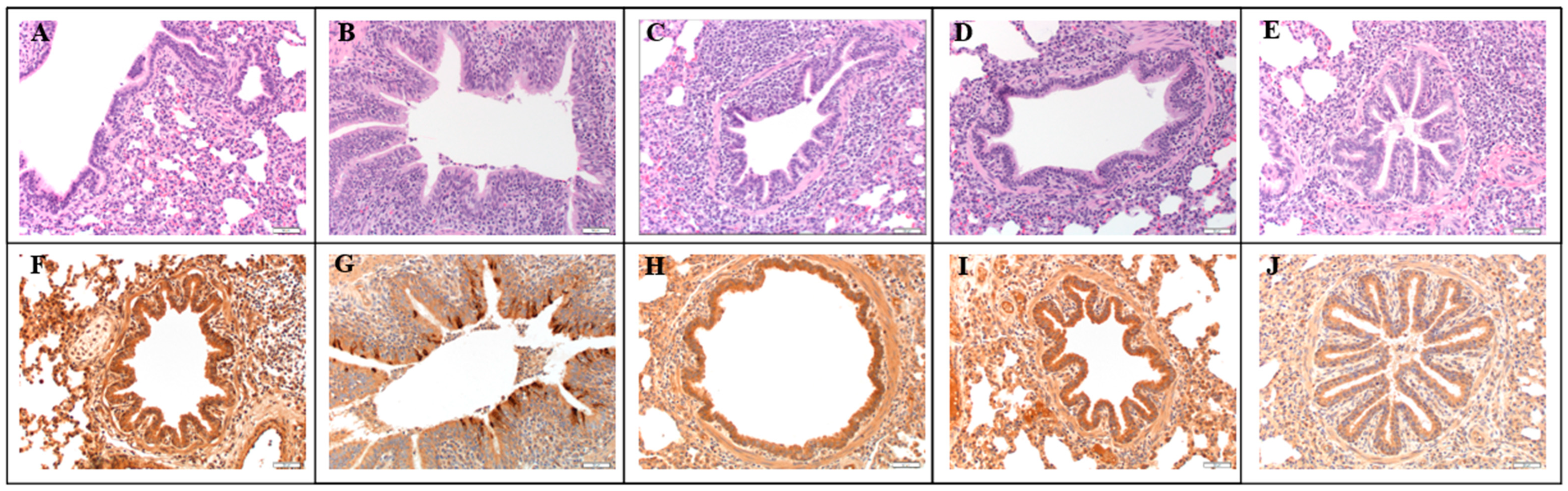 Viruses 17 00565 g003