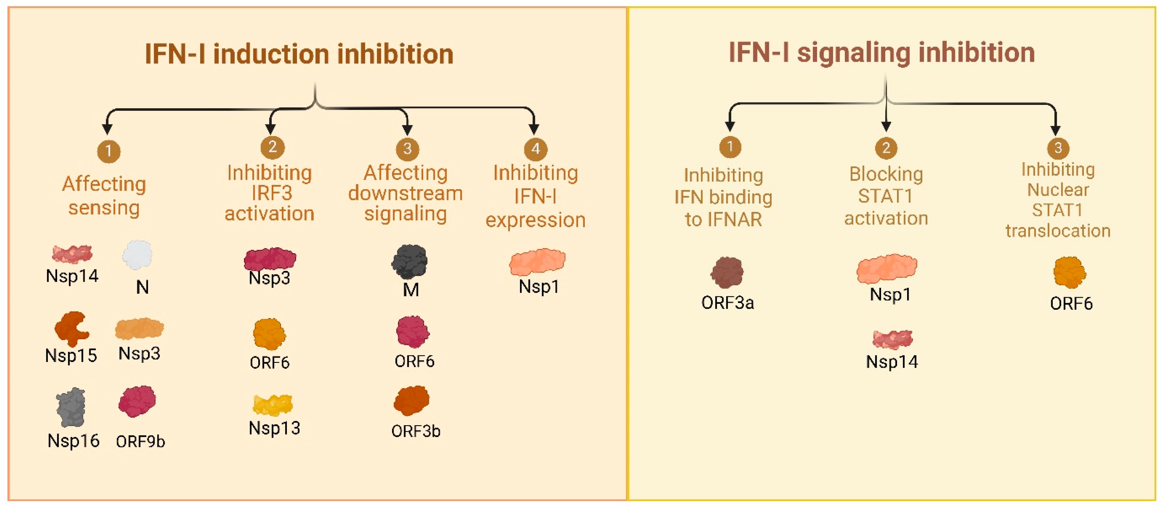 Viruses 17 00569 g001