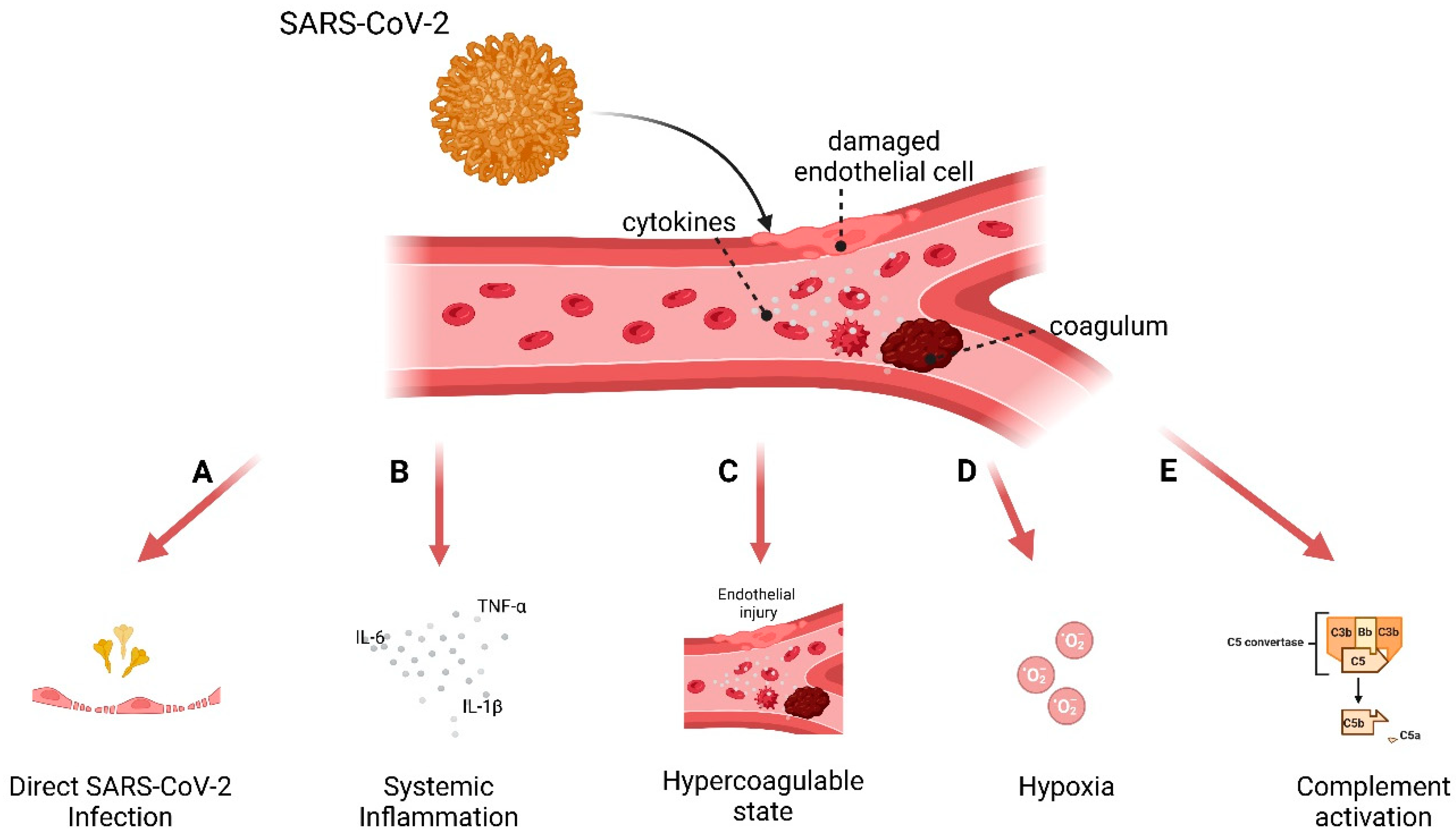 Viruses 17 00569 g002