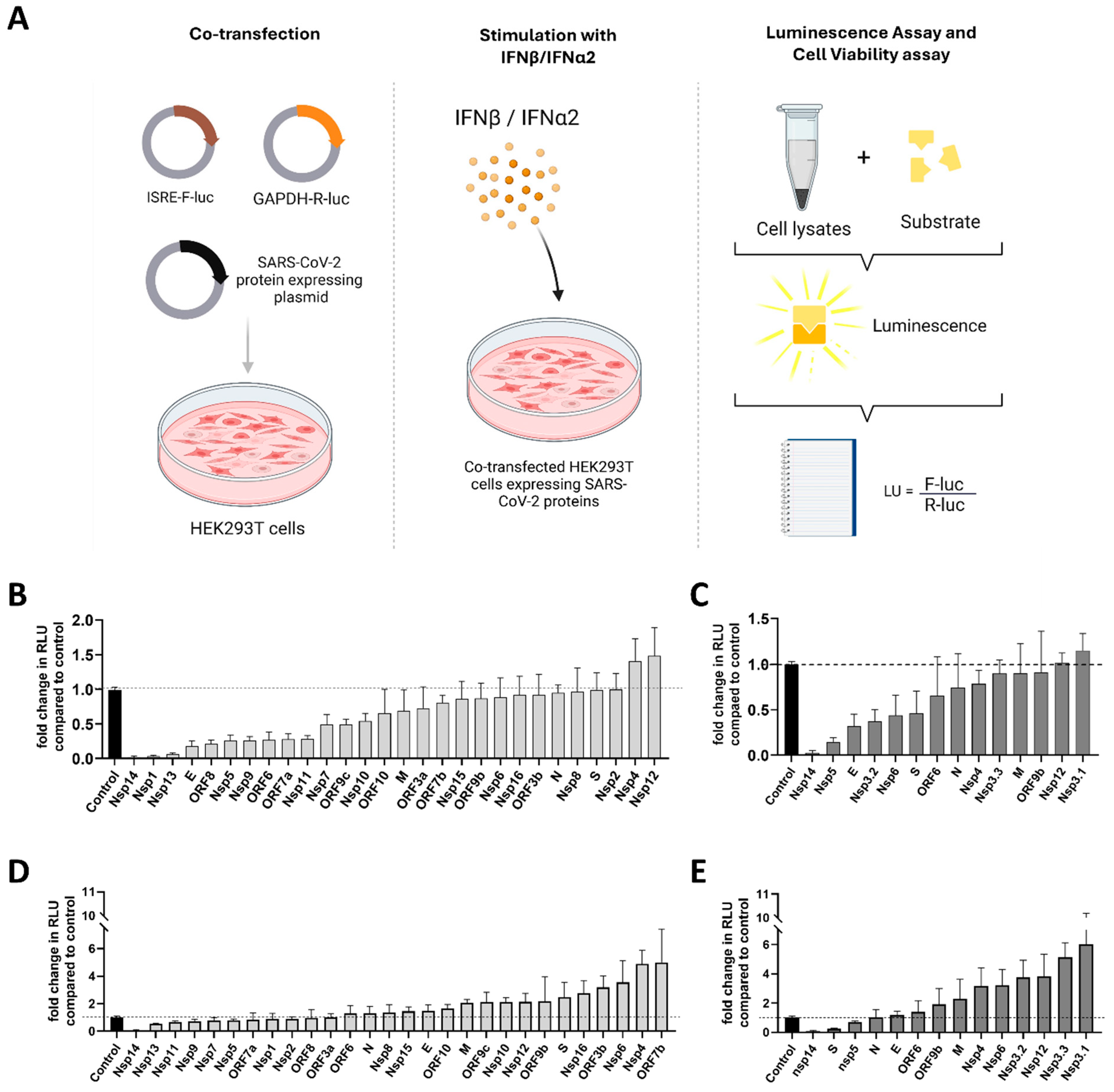 Viruses 17 00569 g003