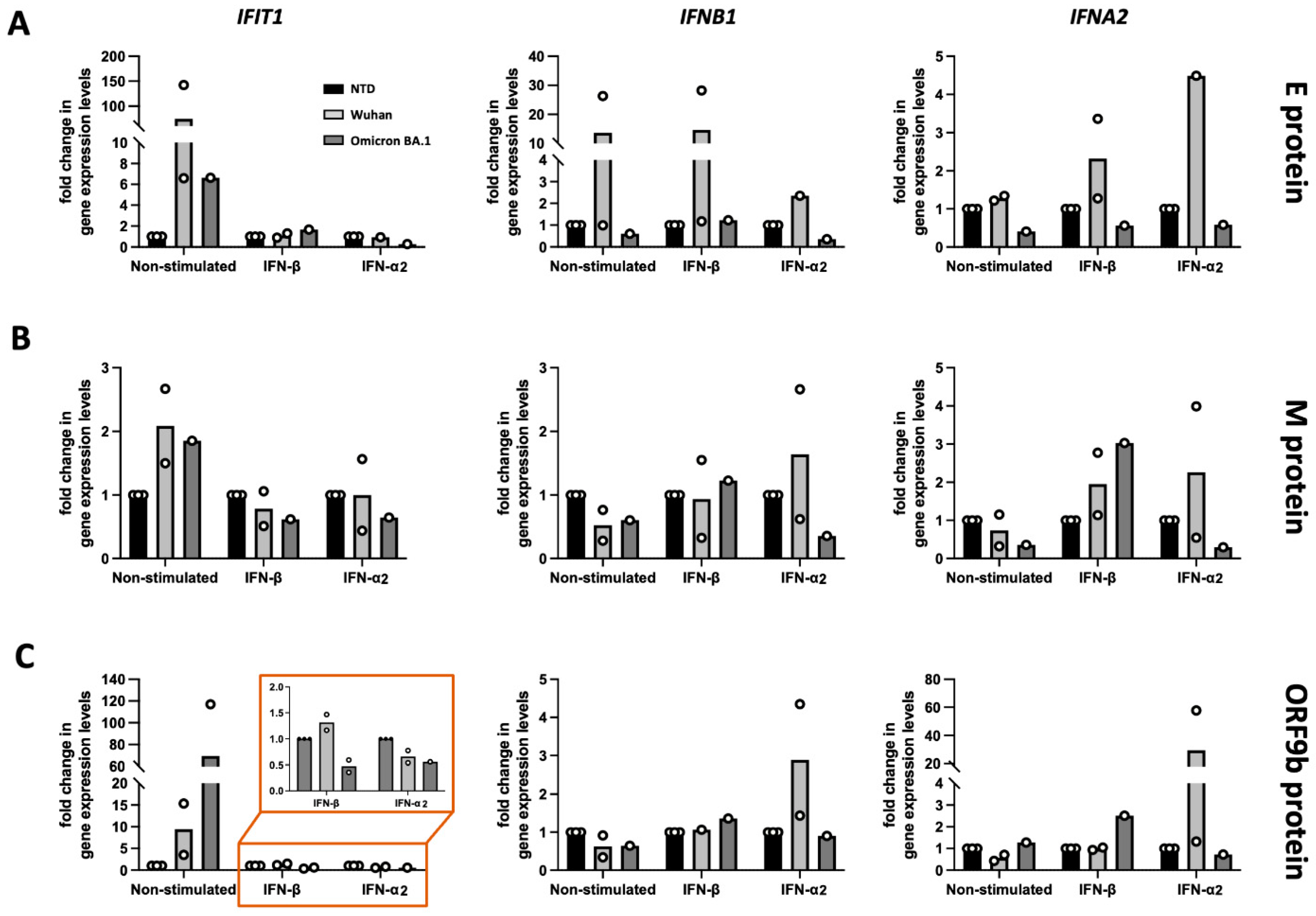 Viruses 17 00569 g005
