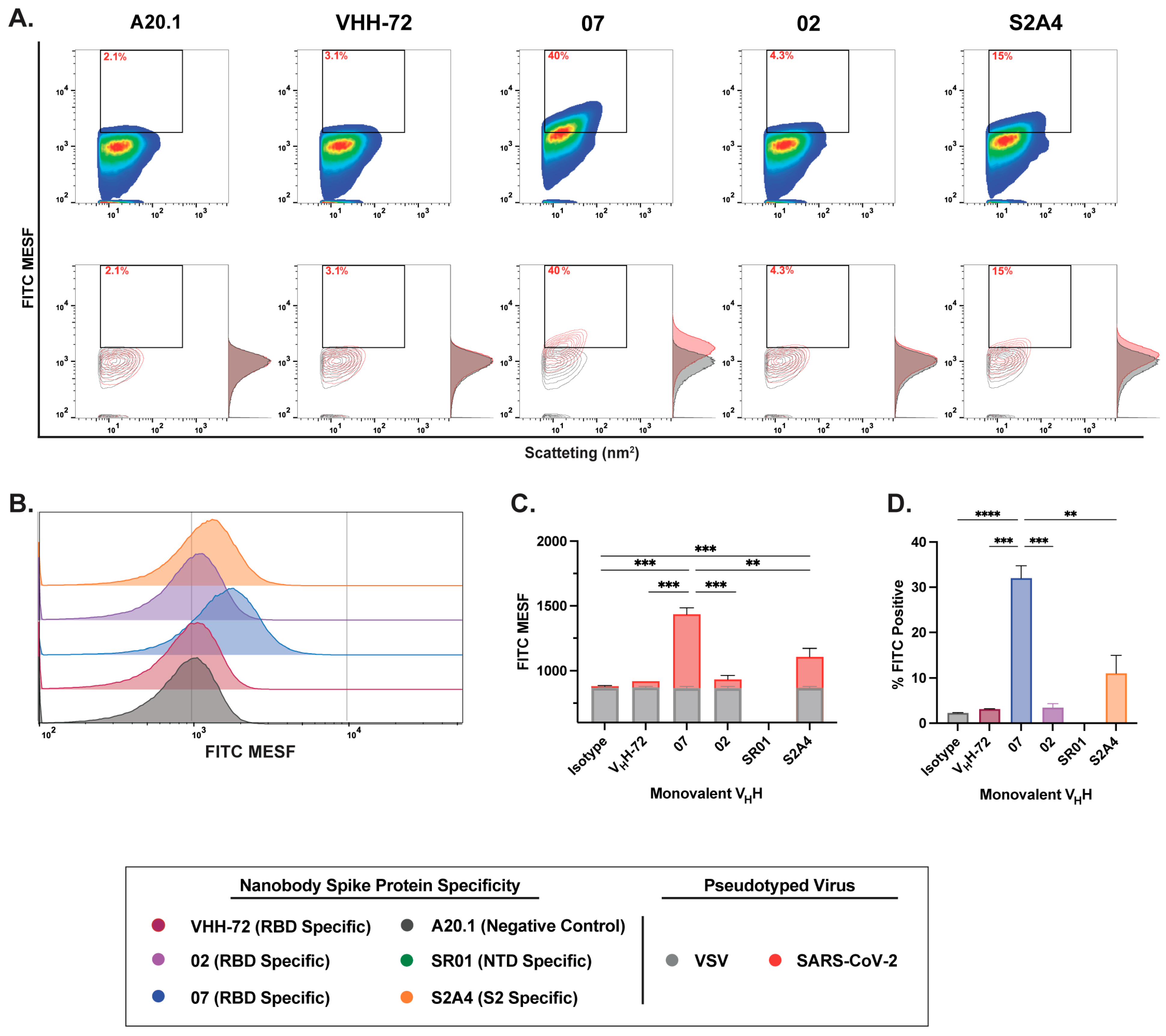 Viruses 17 00571 g003