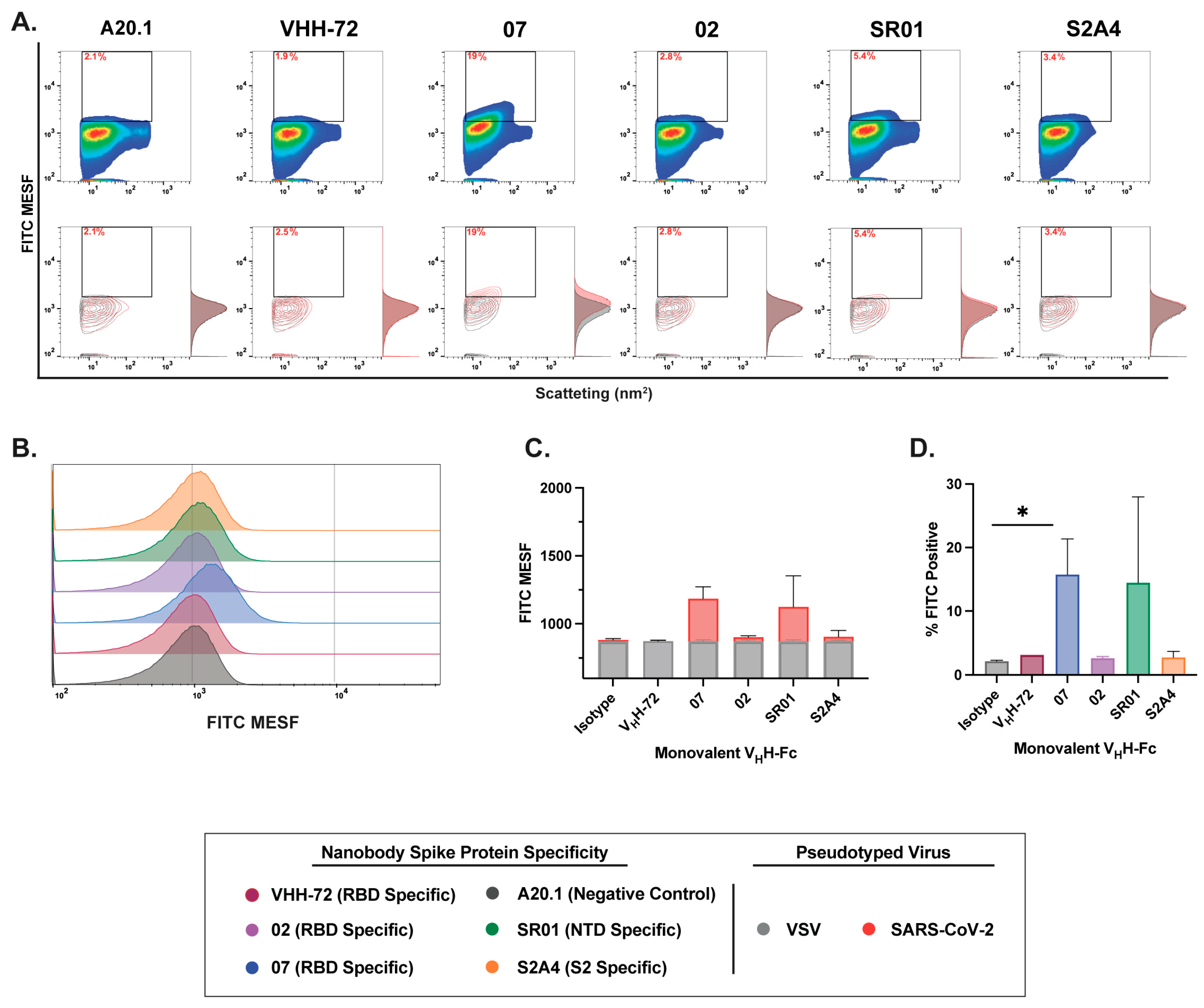 Viruses 17 00571 g004