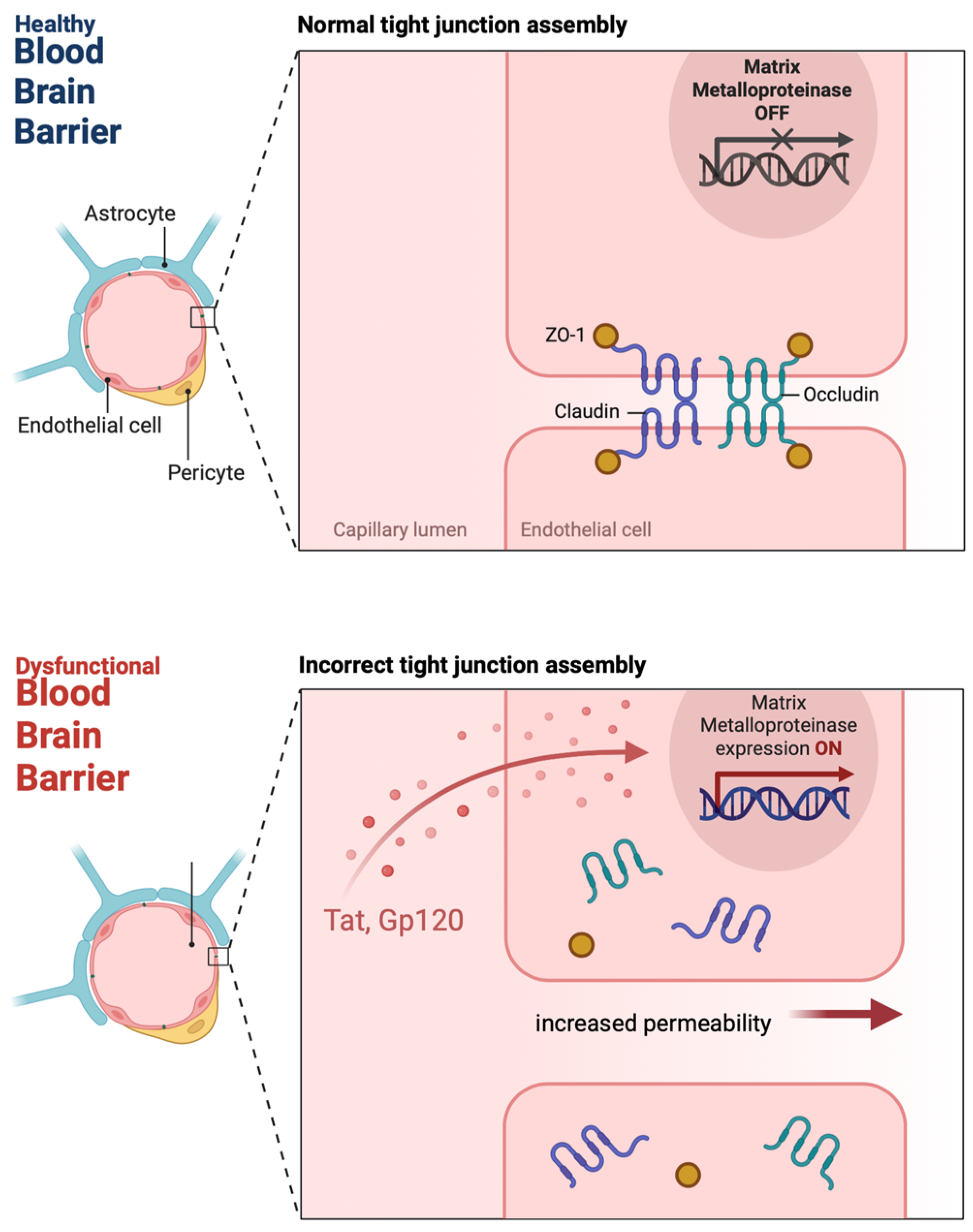 Viruses 17 00572 g001