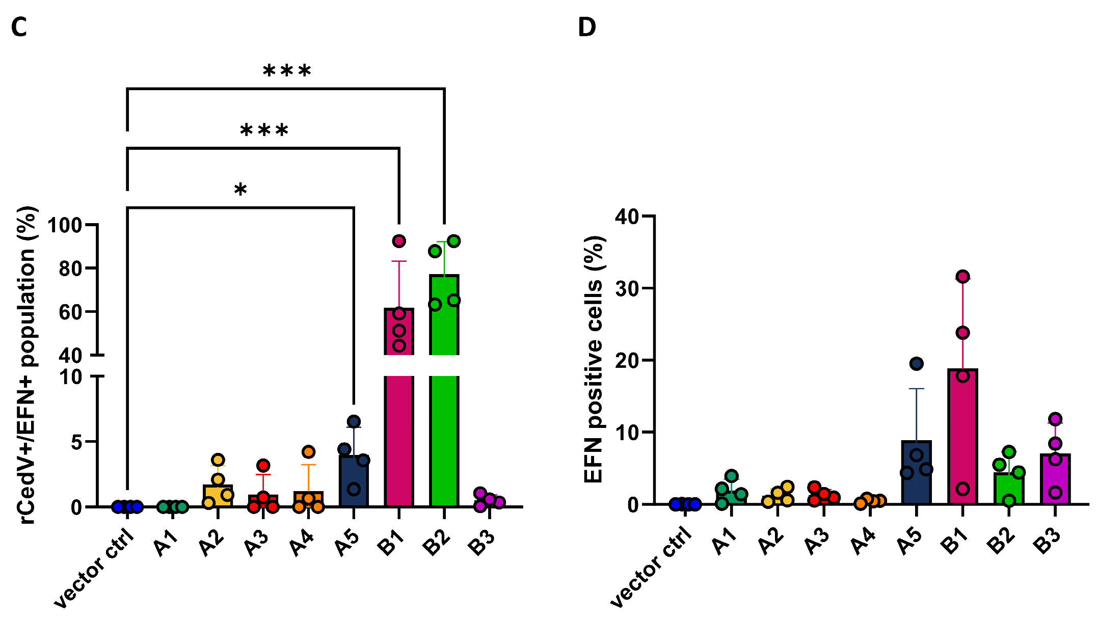 Viruses 17 00573 g002b