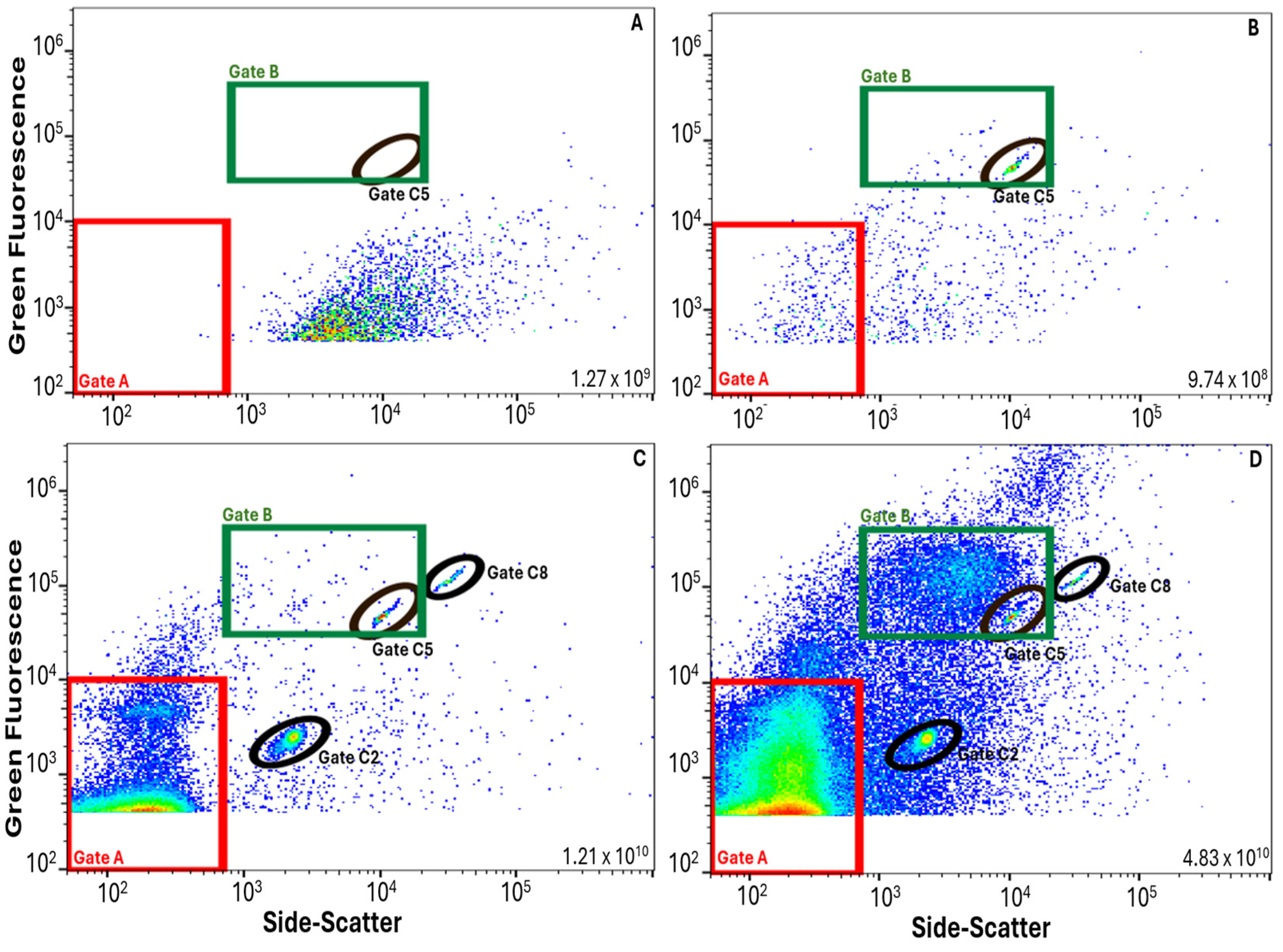 Viruses 17 00575 g003