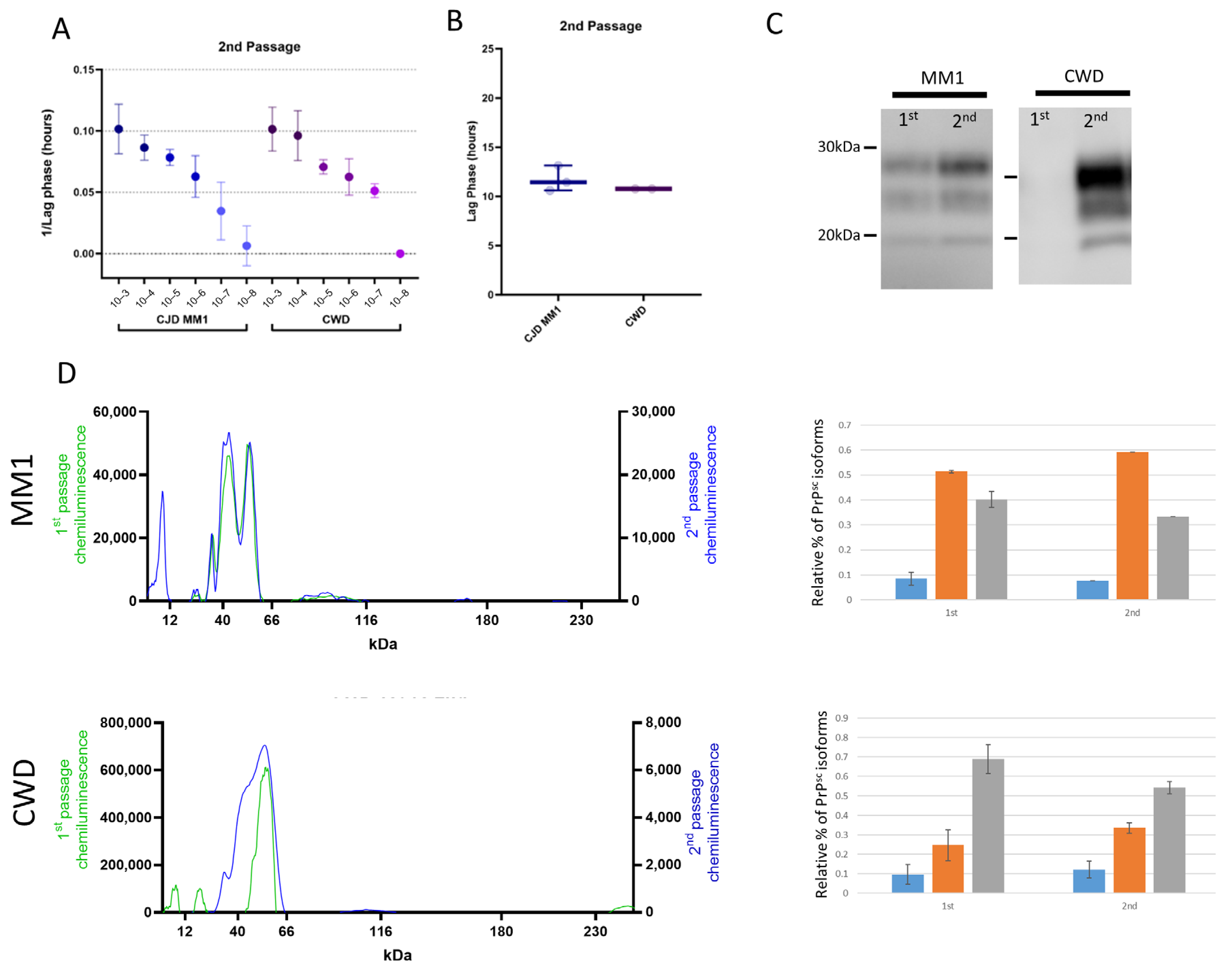 Viruses 17 00576 g007