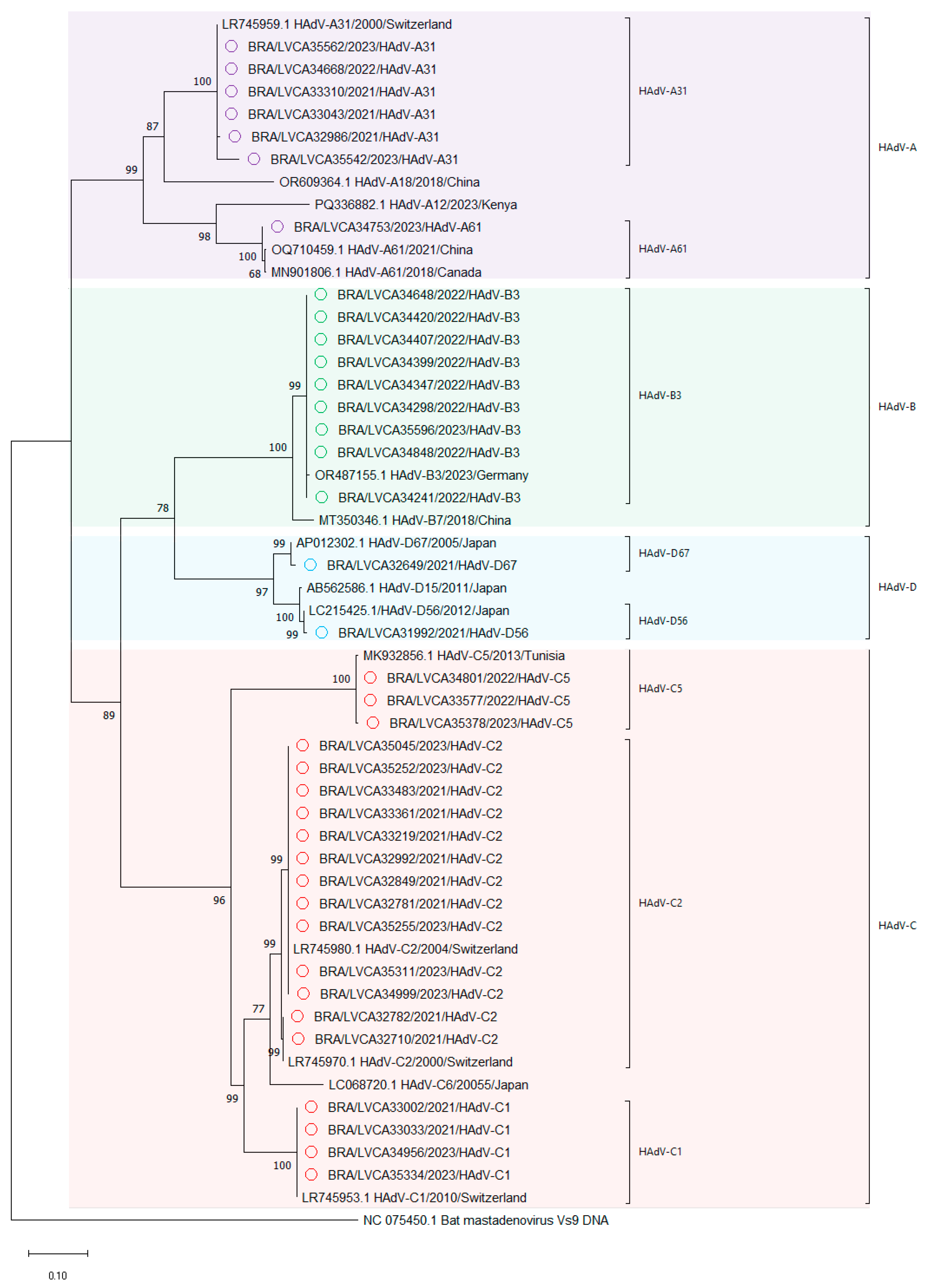 Viruses 17 00577 g004