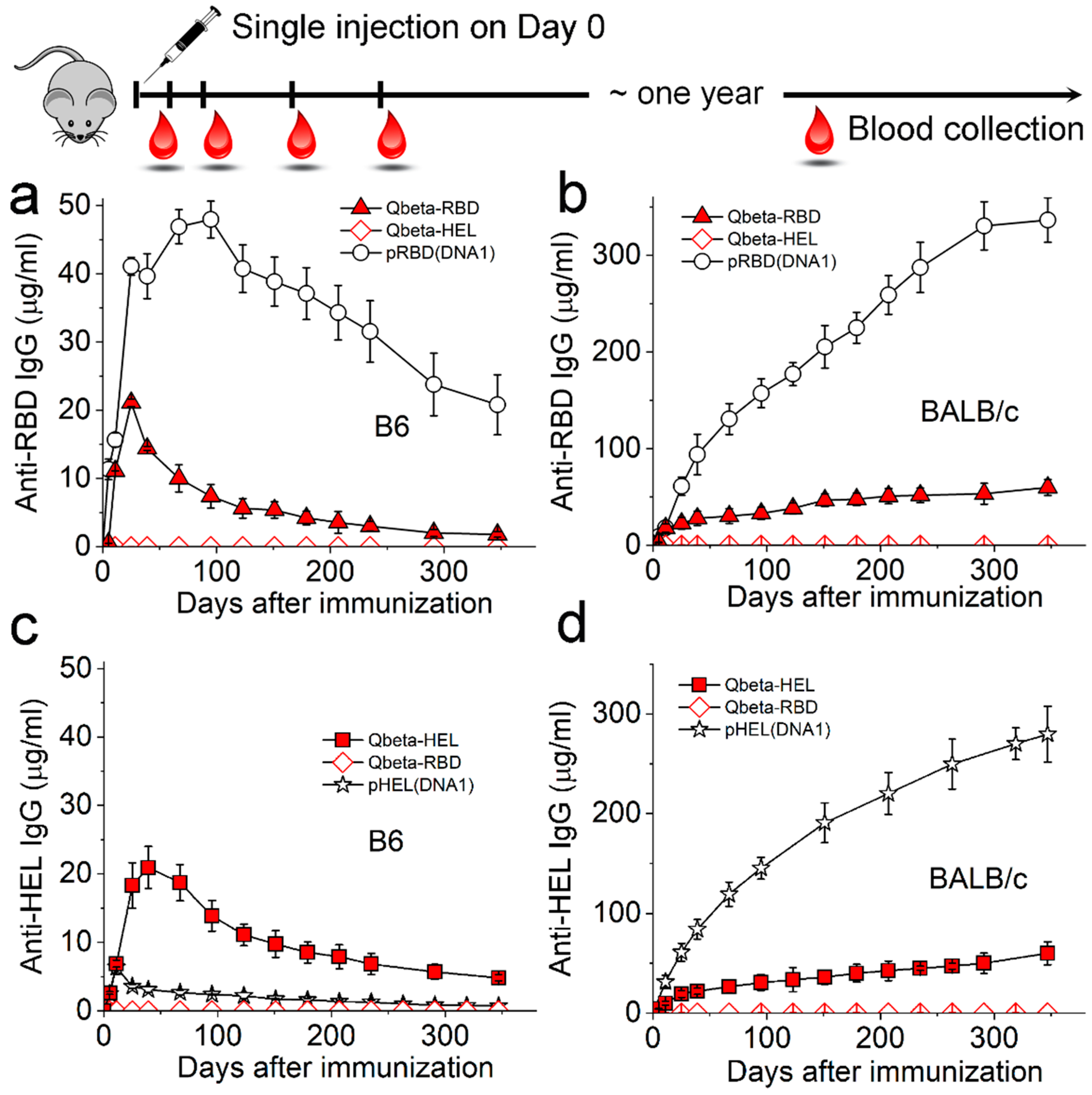 Viruses 17 00579 g002