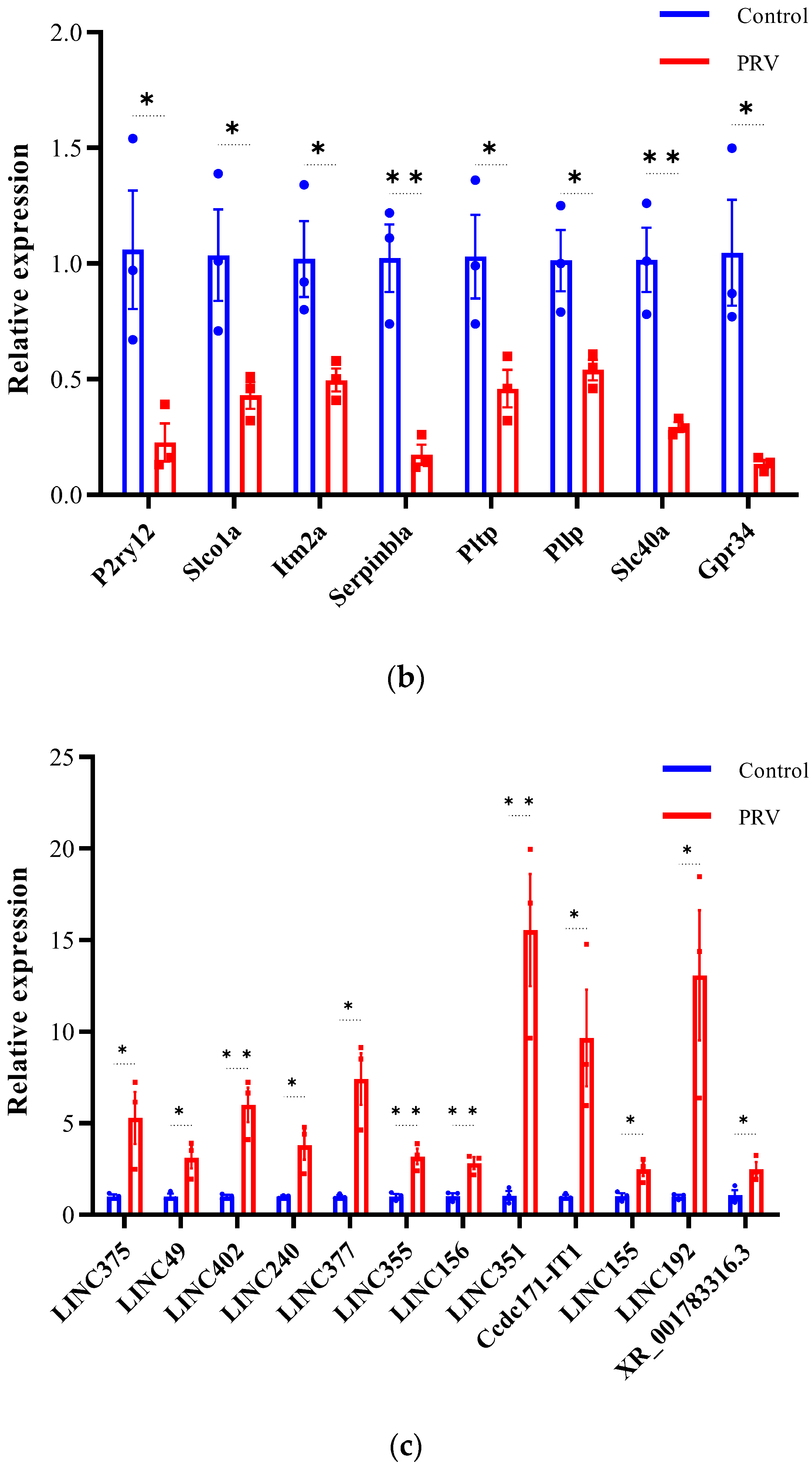 Viruses 17 00580 g007b