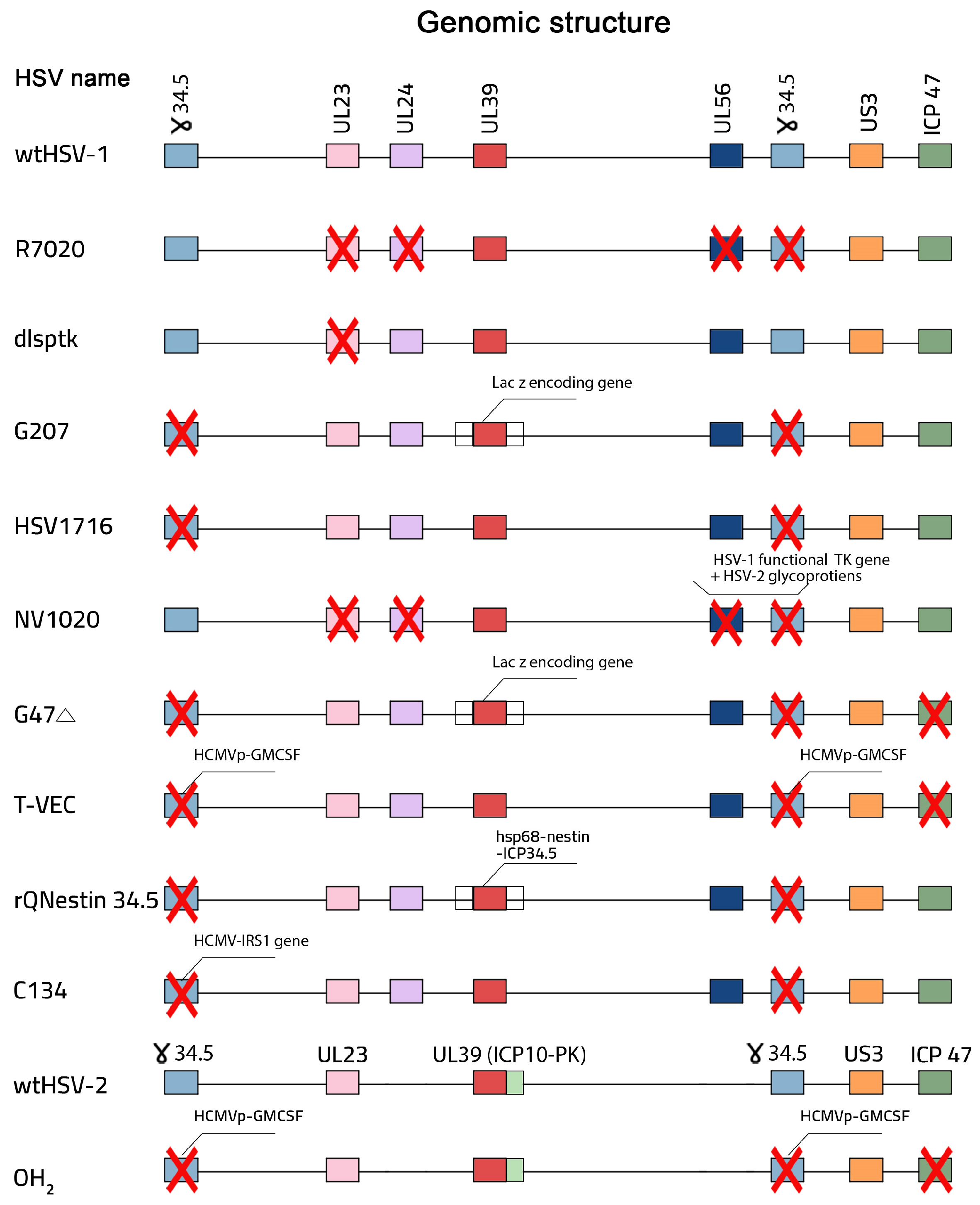 Viruses 17 00581 g001