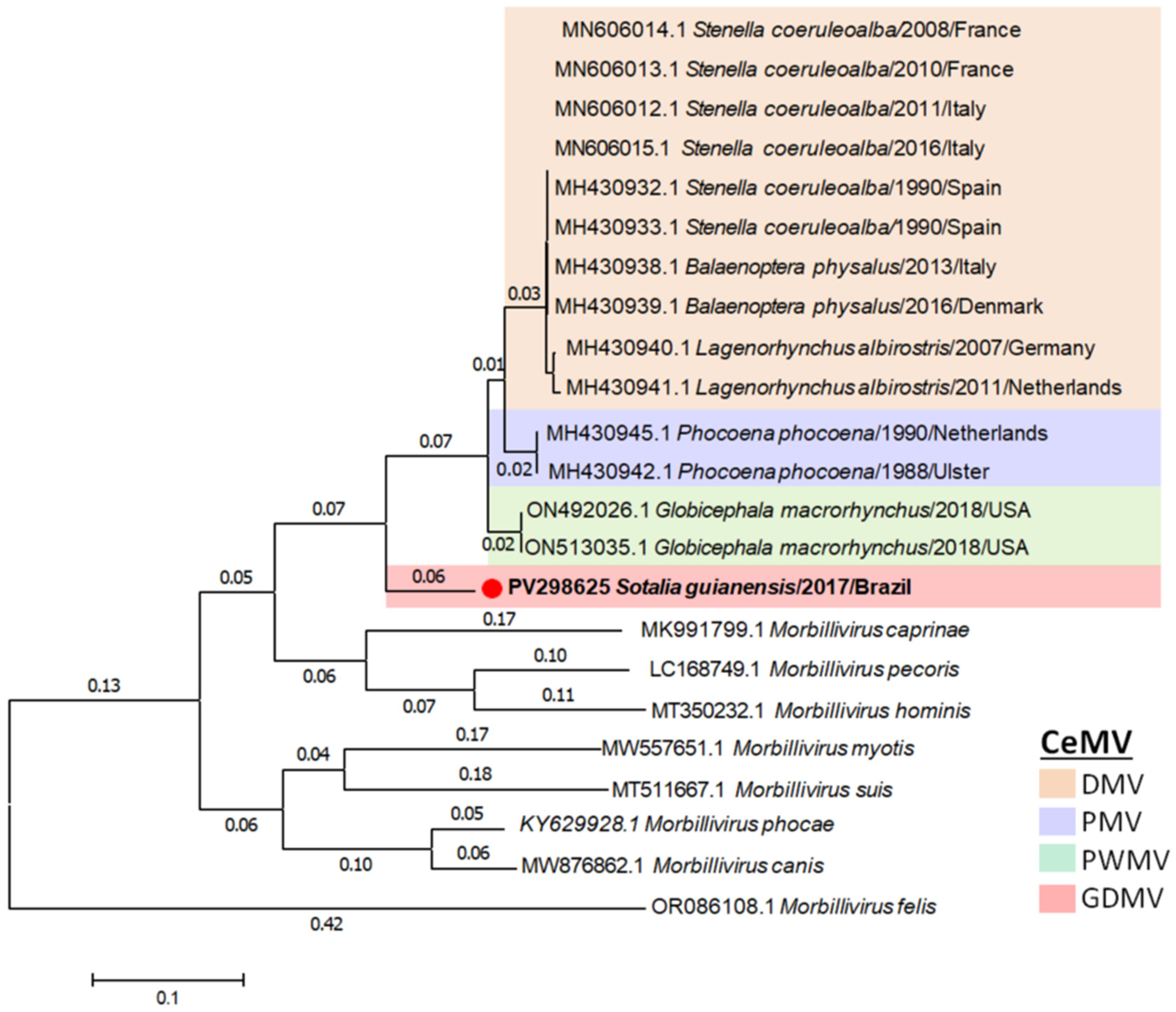 Viruses 17 00582 g004 Viruses 17 00582 g004
