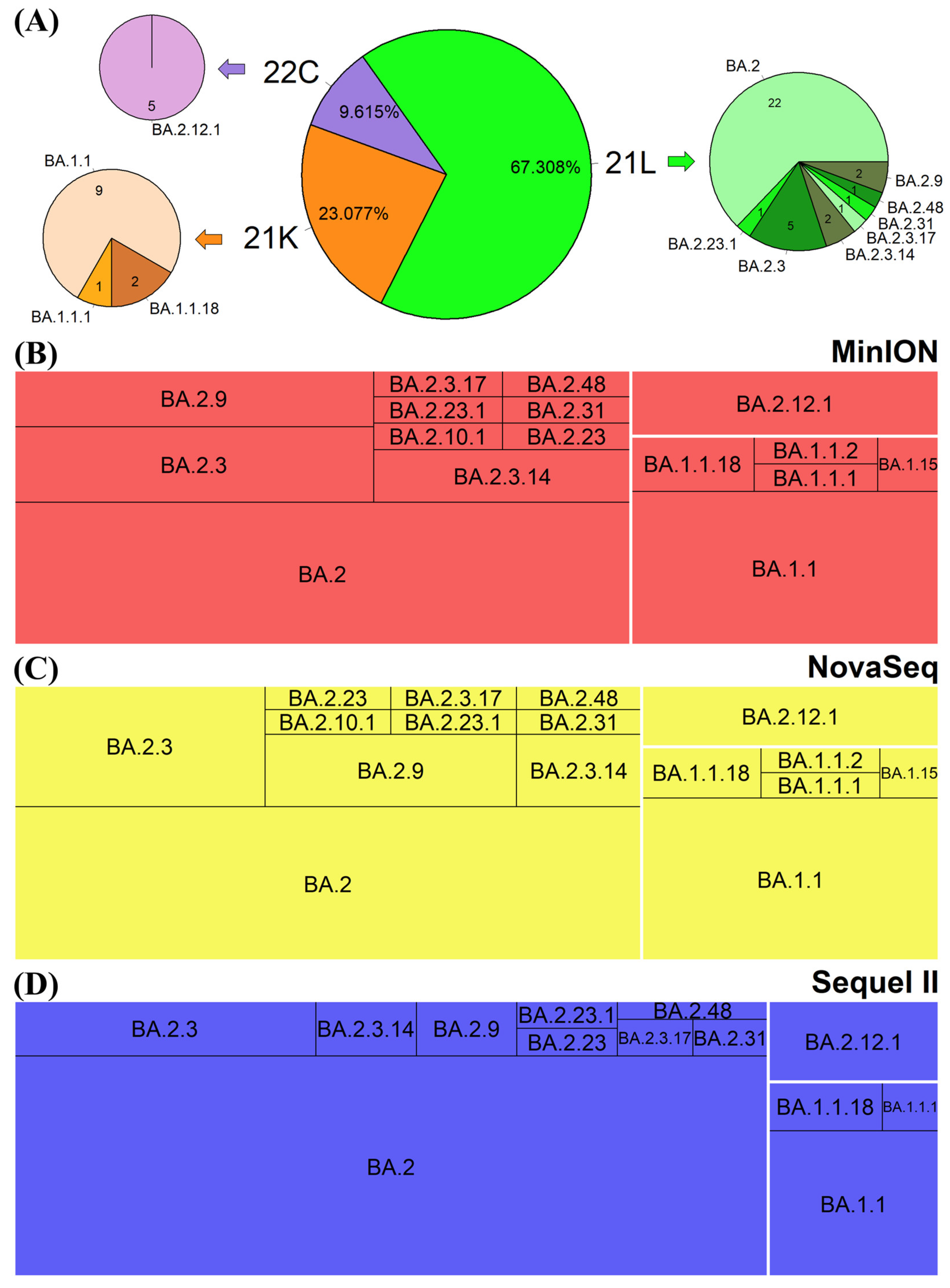 Viruses 17 00584 g005