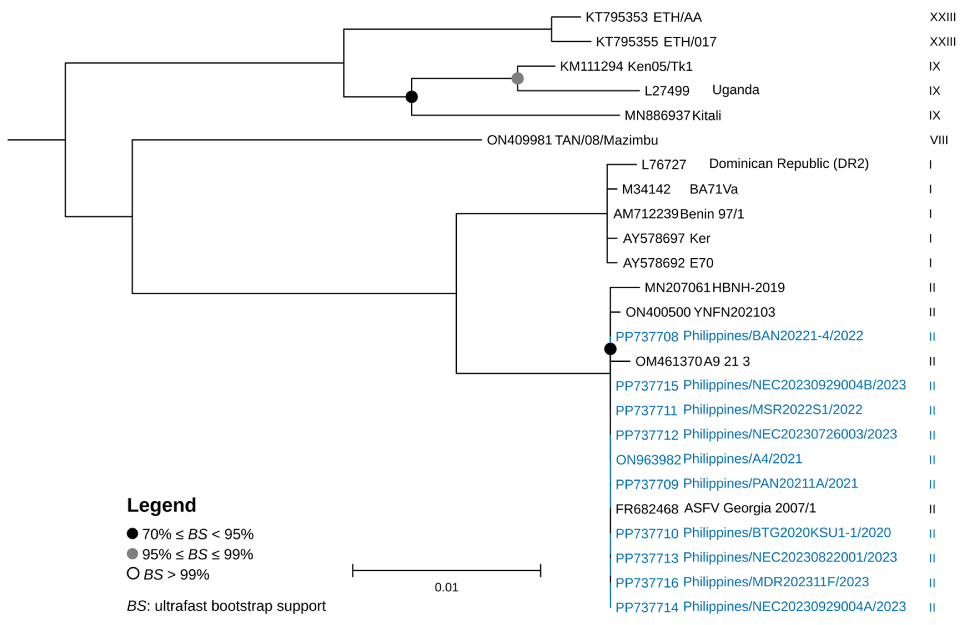 Viruses 17 00588 g003