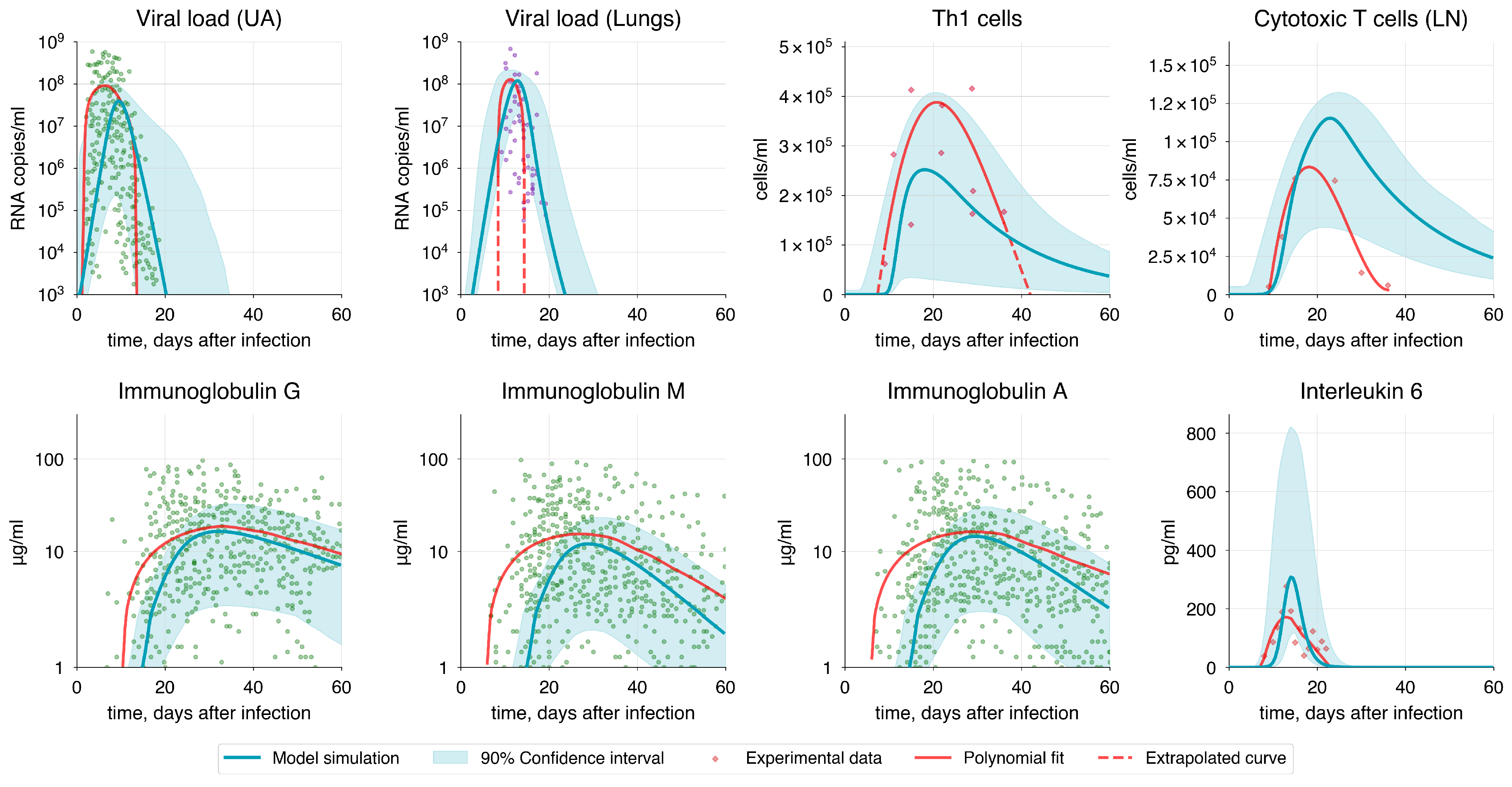 Viruses 17 00589 g007