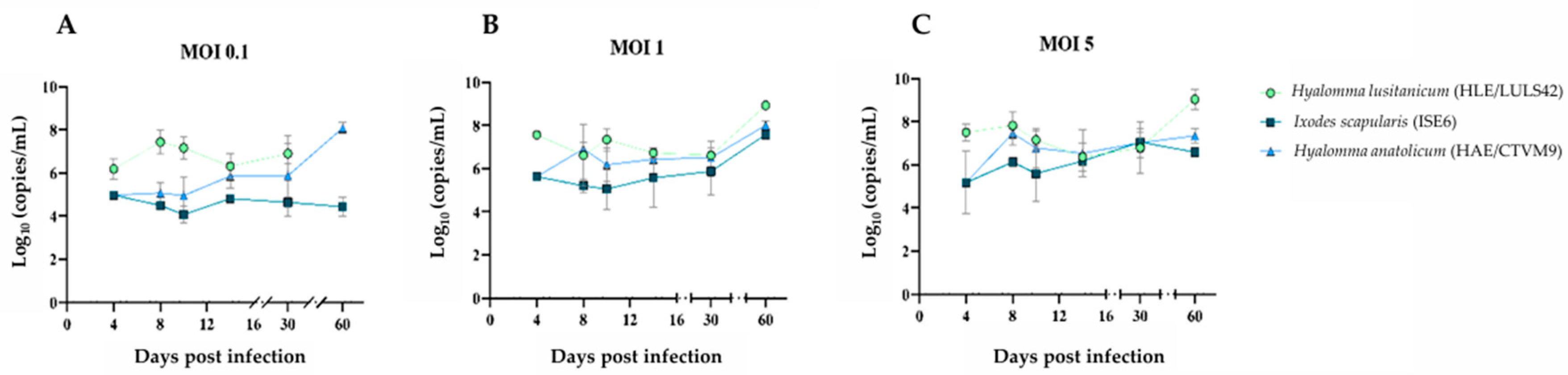 Viruses 17 00591 g001