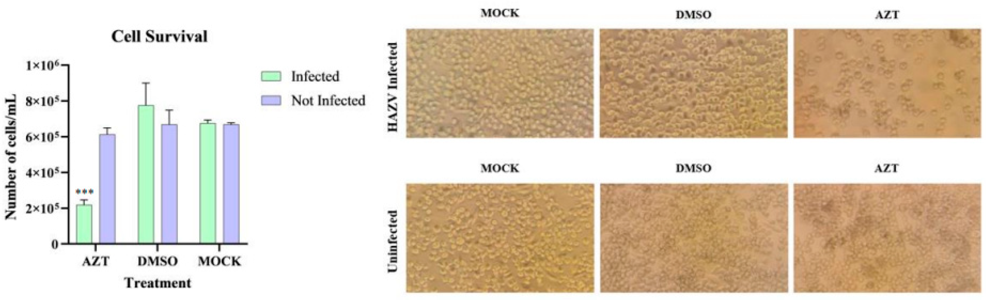 Viruses 17 00591 g007