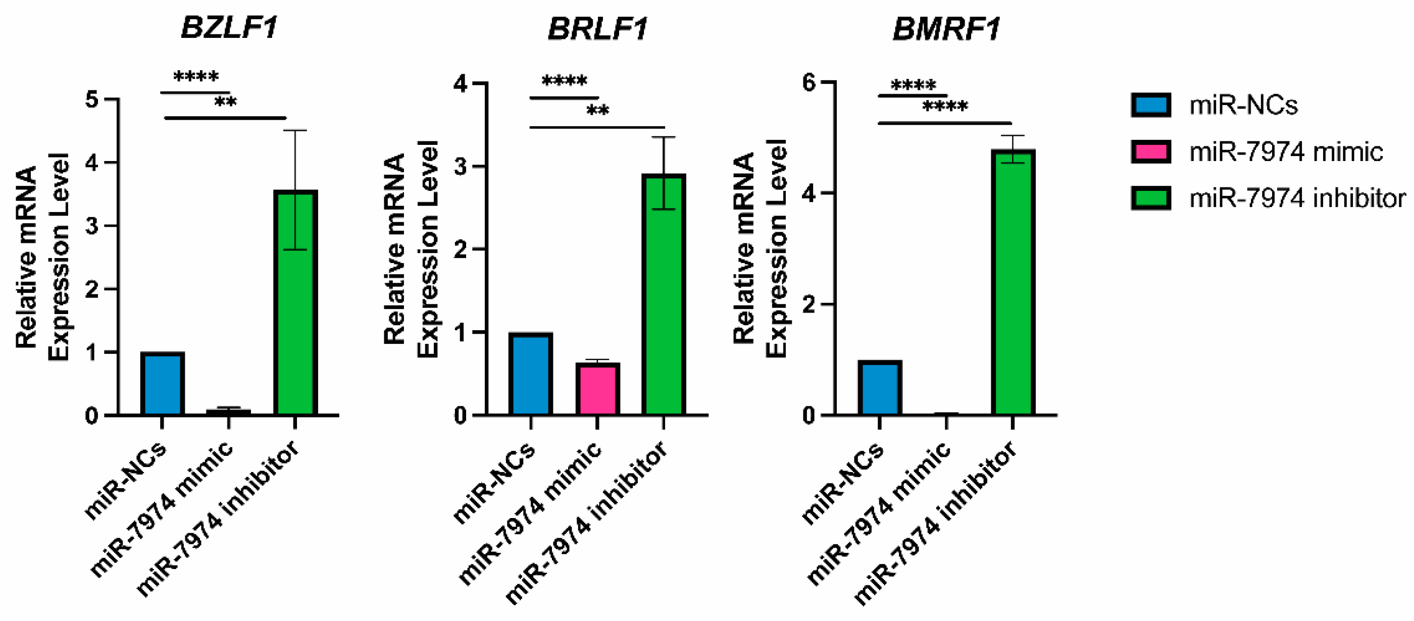 Viruses 17 00594 g007