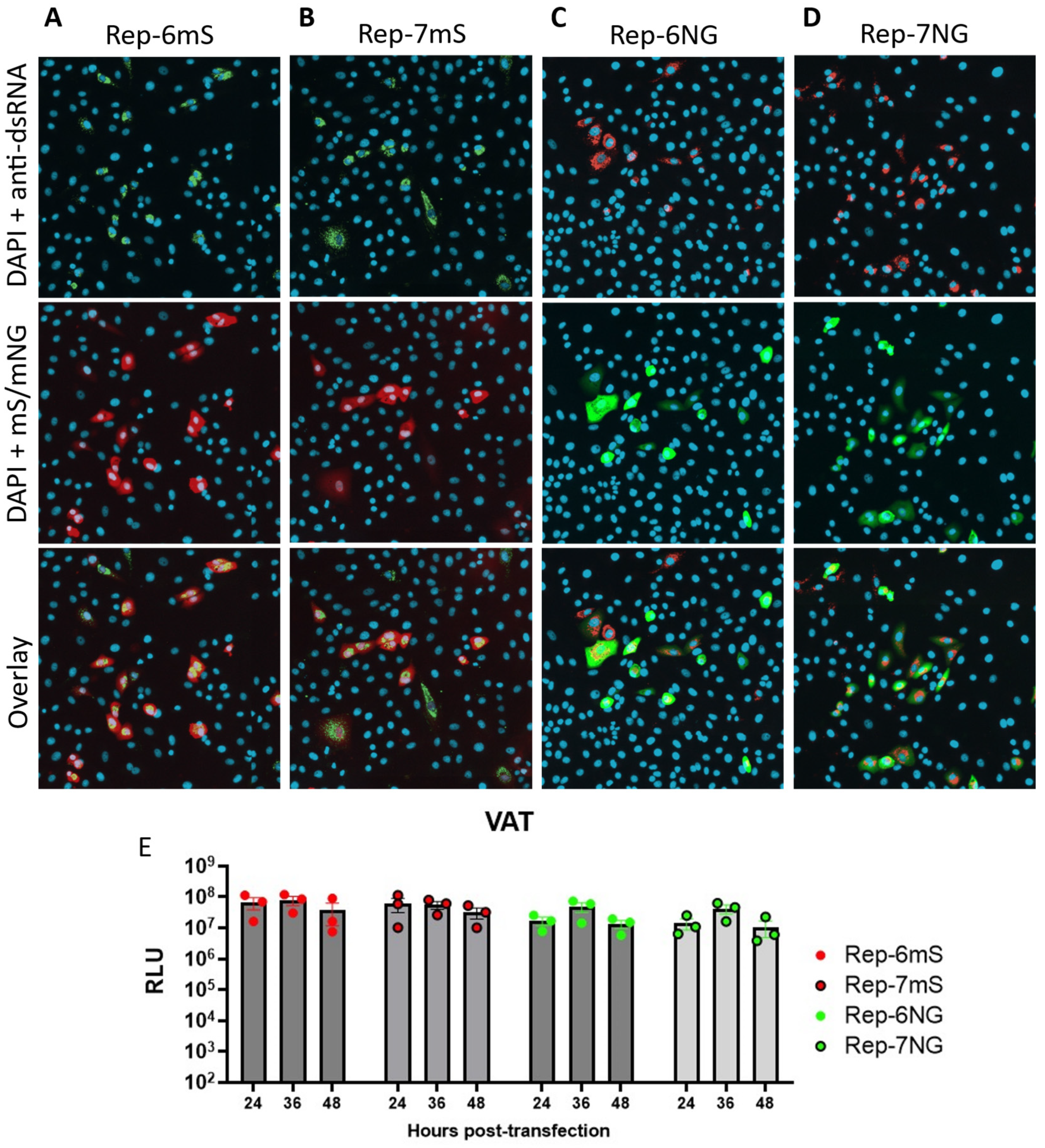 Viruses 17 00597 g005