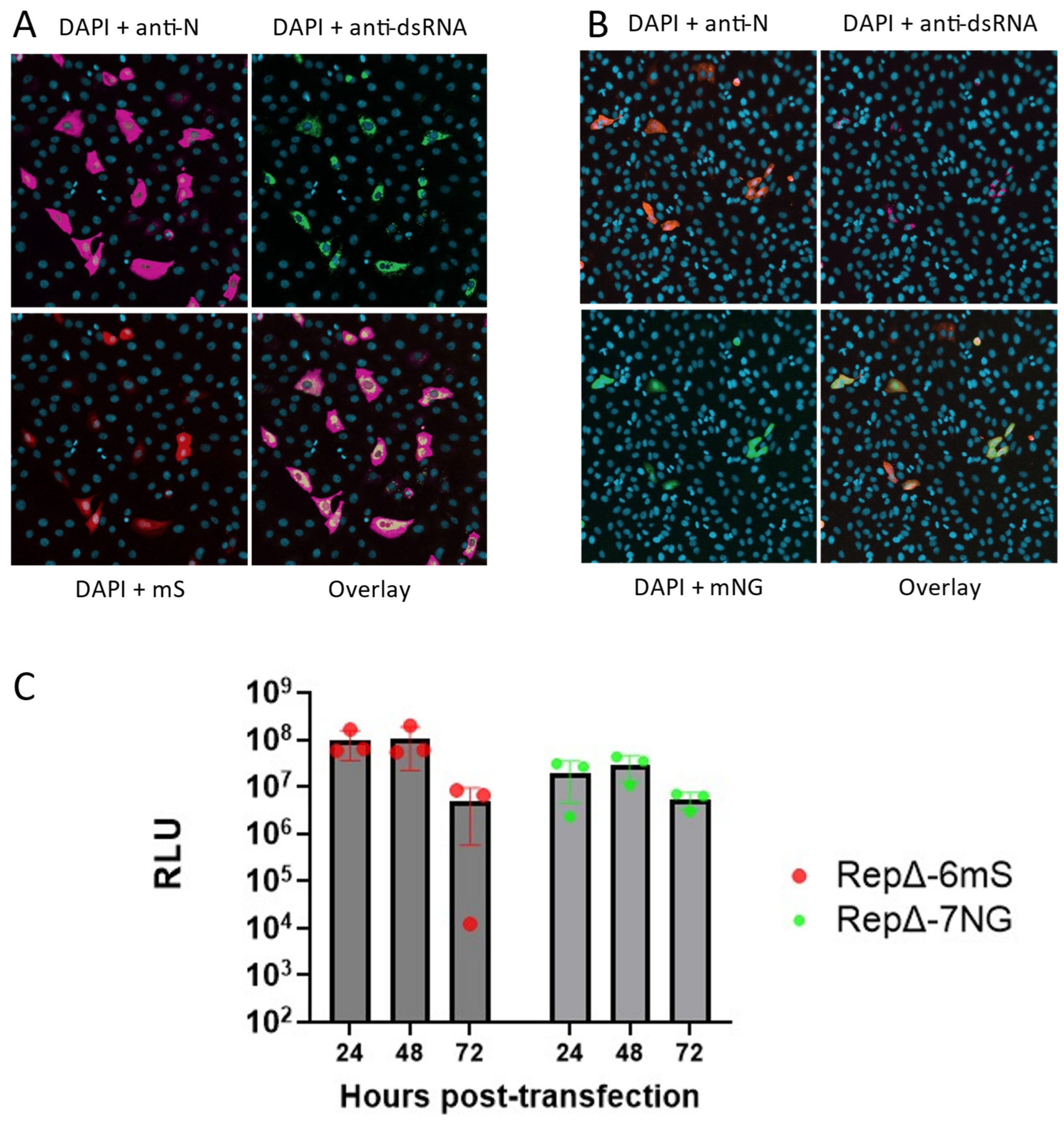 Viruses 17 00597 g006