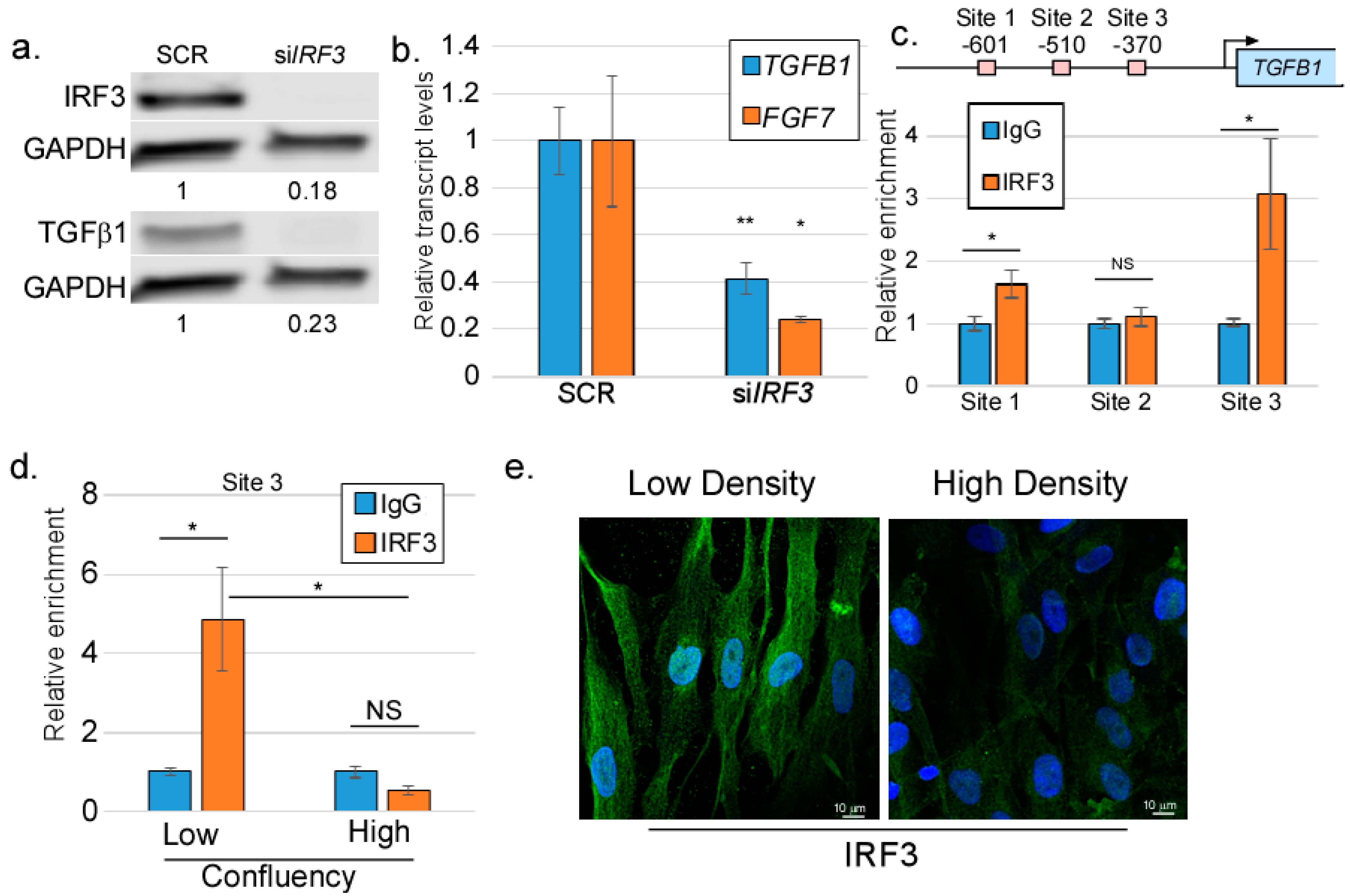 Viruses 17 00598 g004