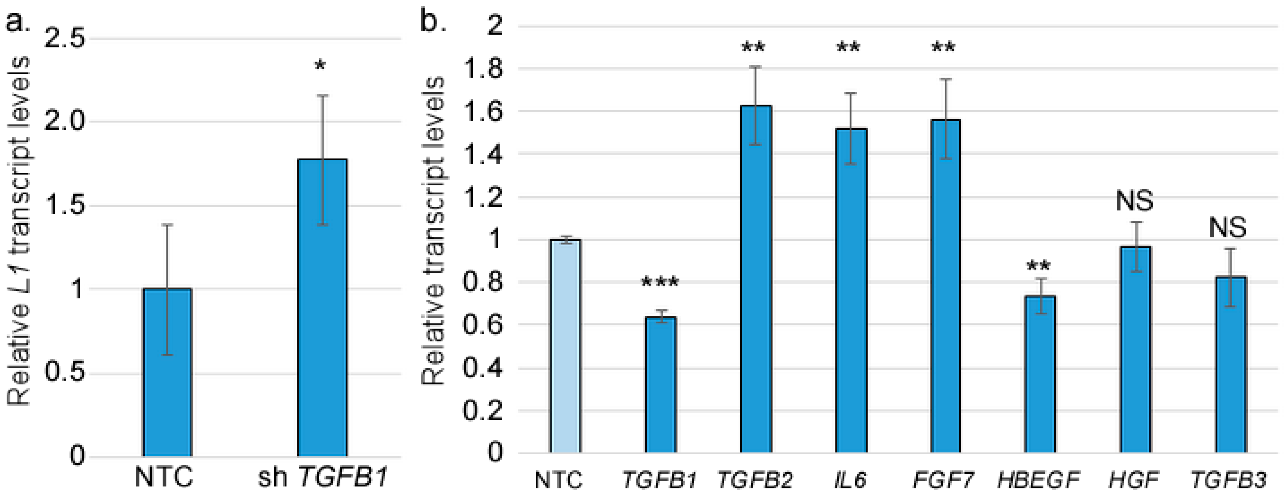 Viruses 17 00598 g006