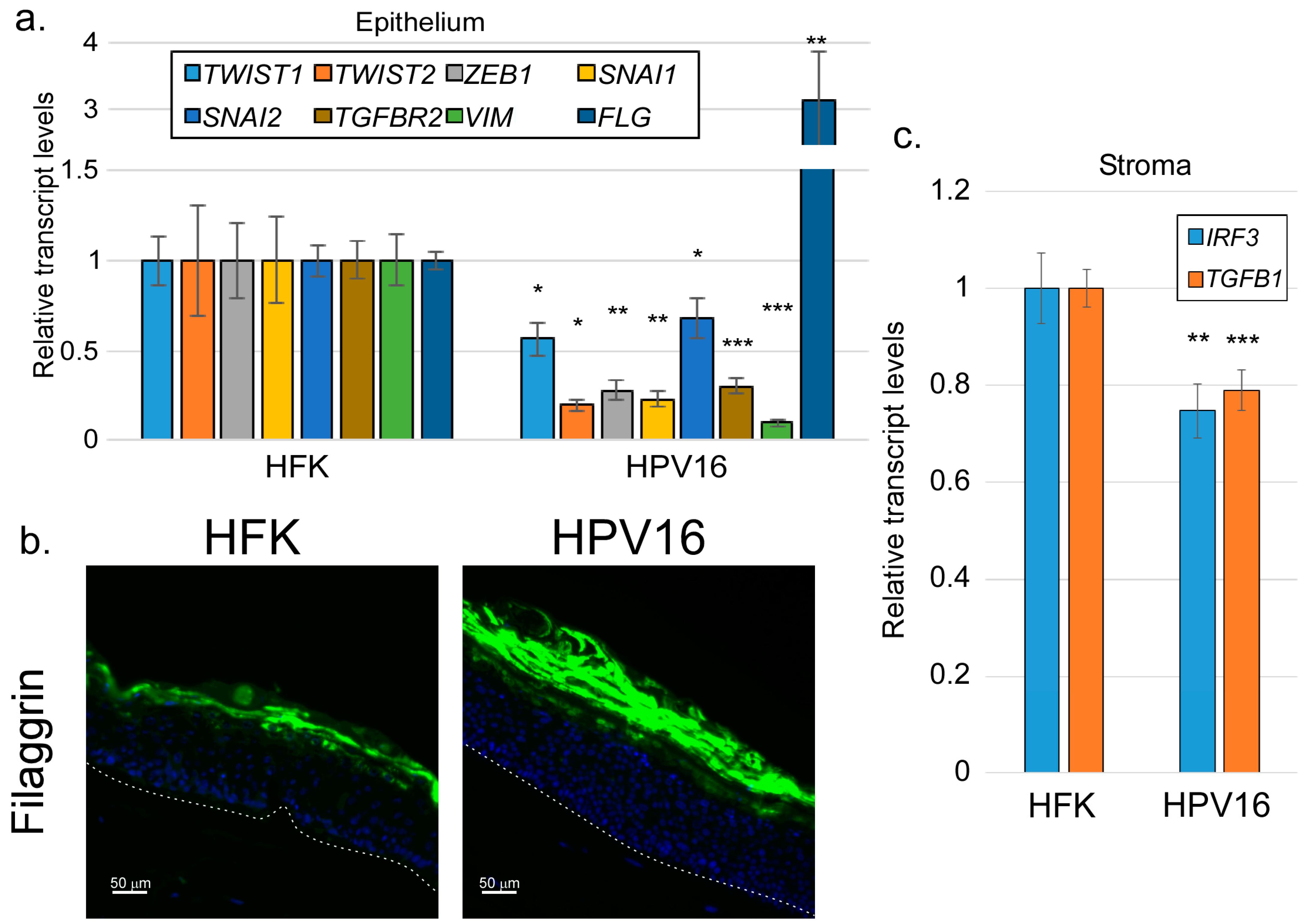 Viruses 17 00598 g007