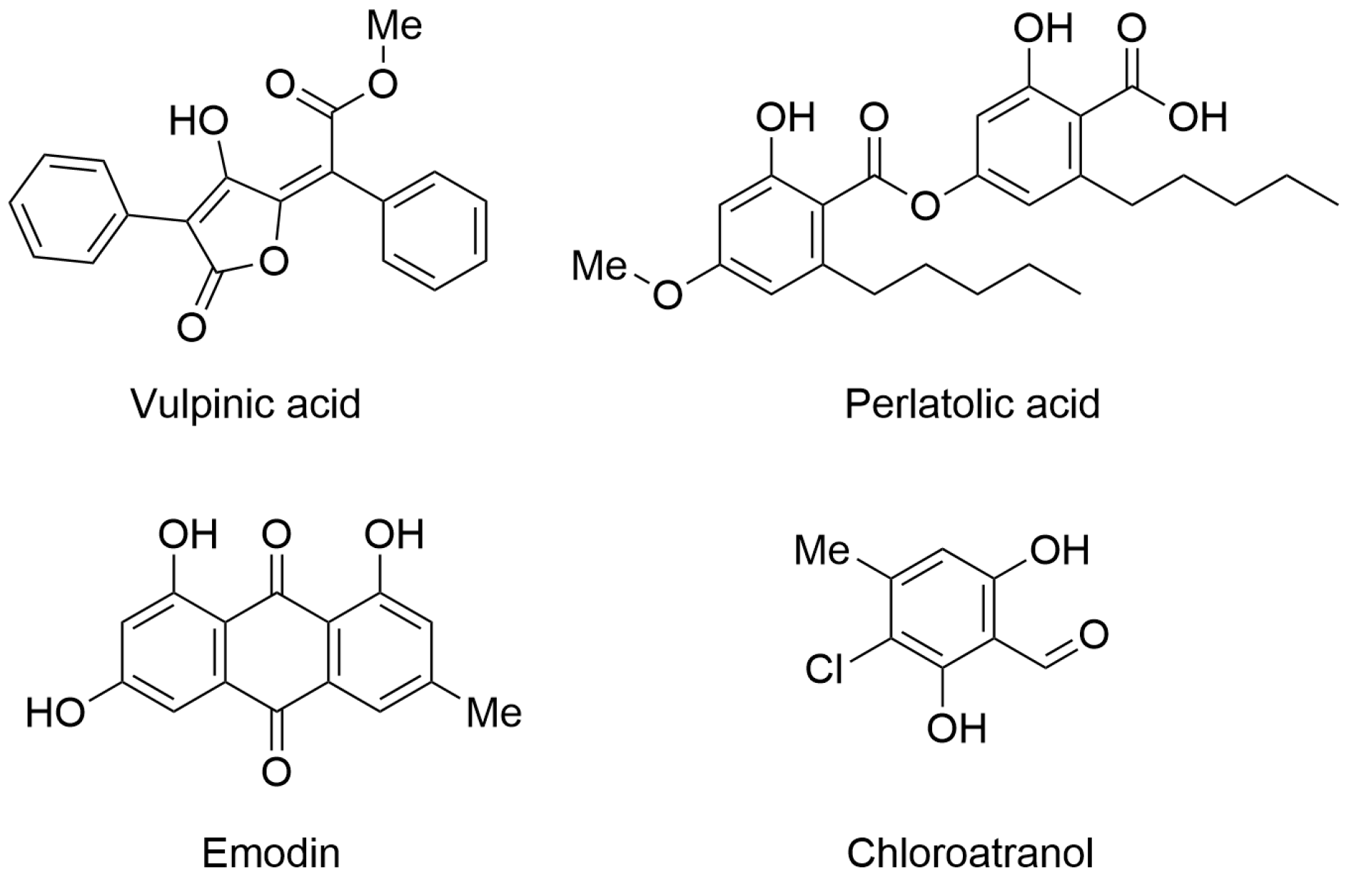 Viruses 17 00601 g001