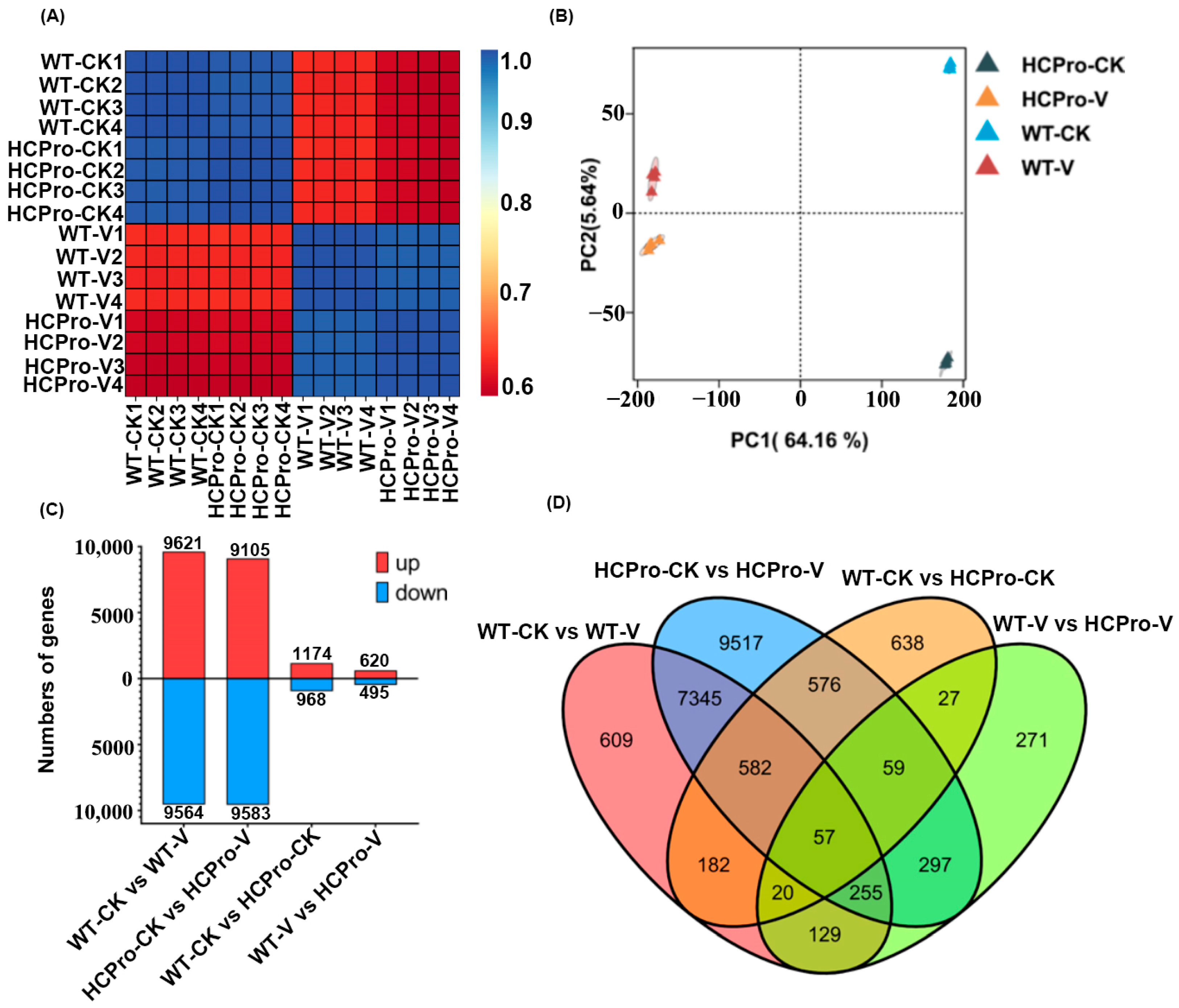 Viruses 17 00602 g001