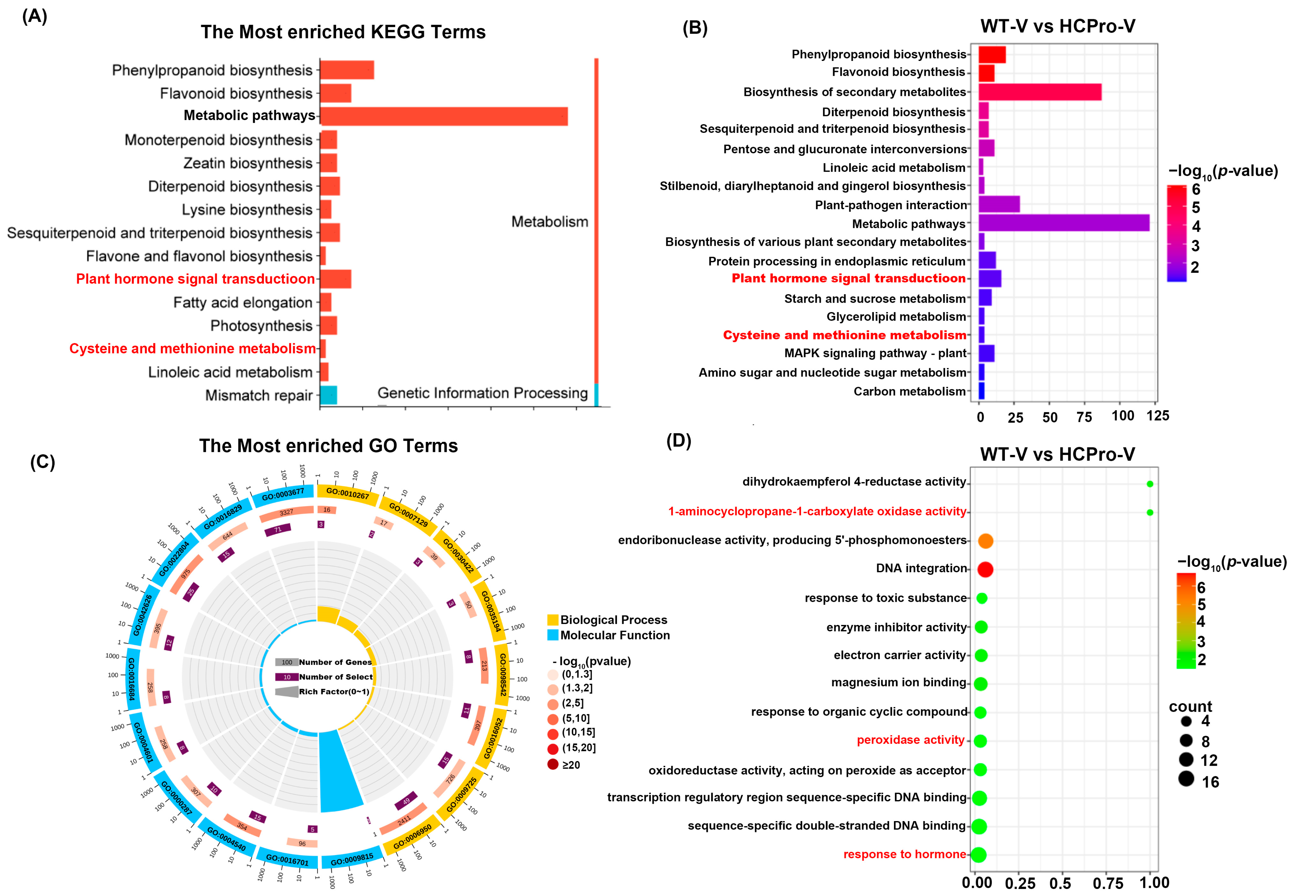 Viruses 17 00602 g005