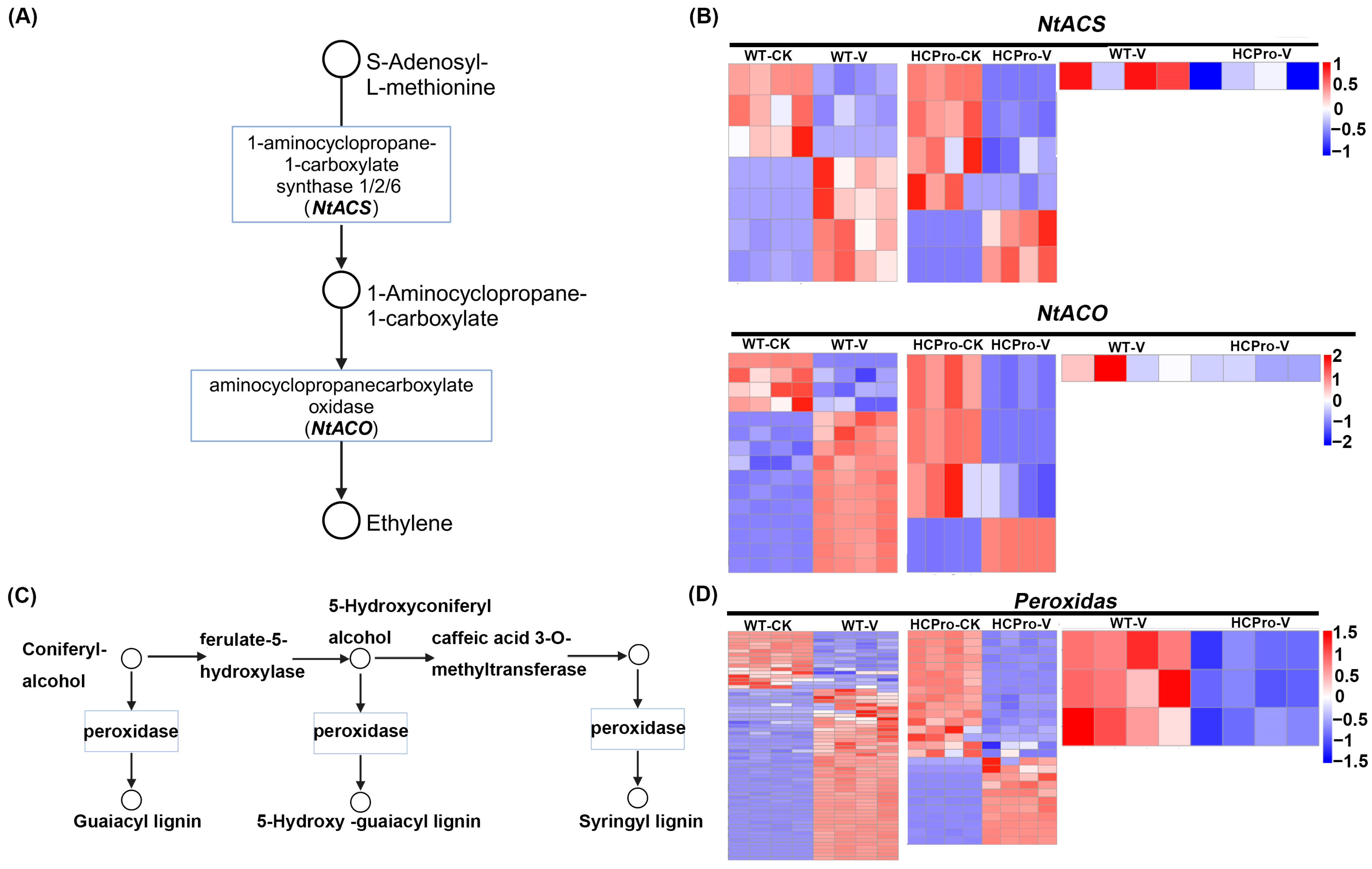 Viruses 17 00602 g006