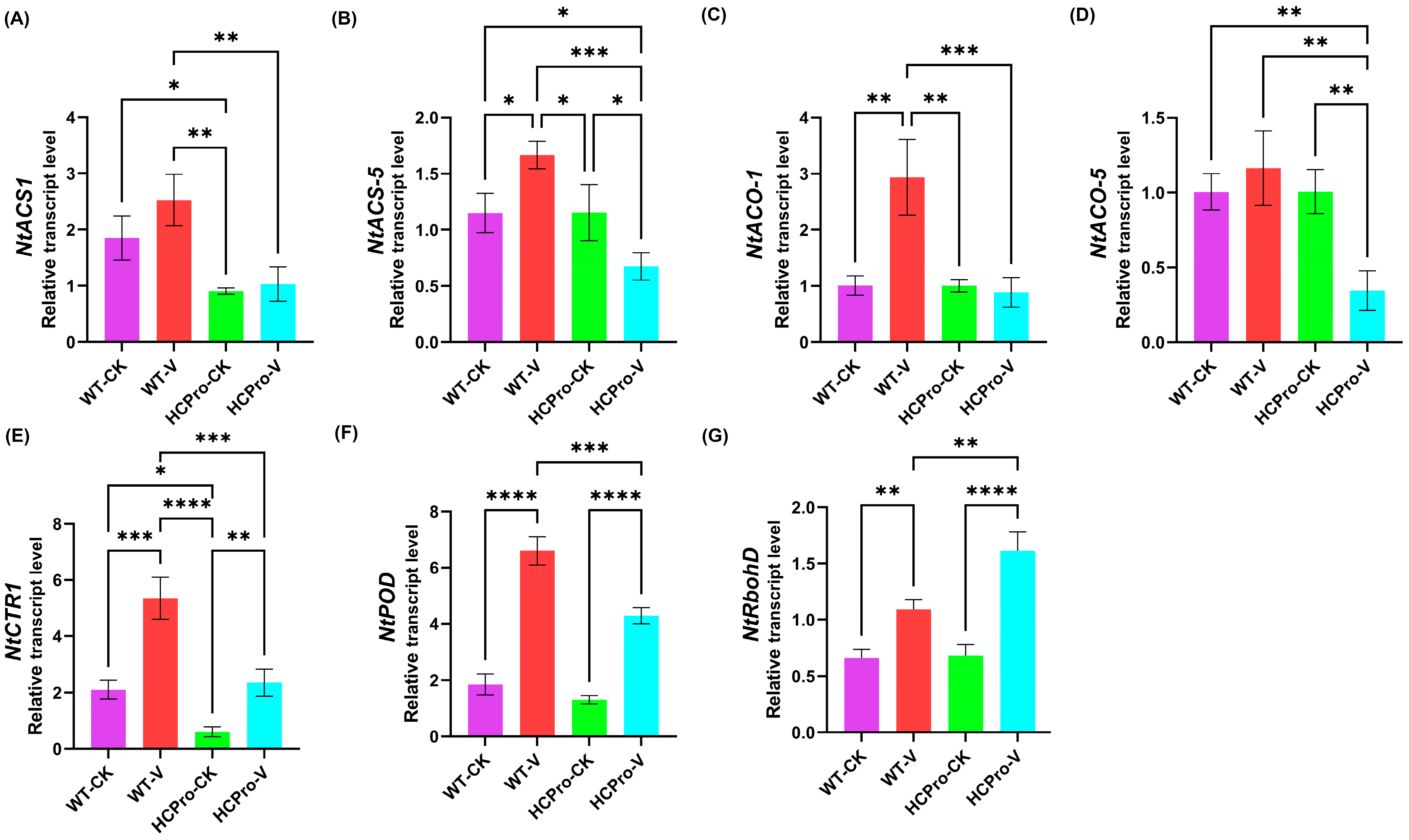 Viruses 17 00602 g007