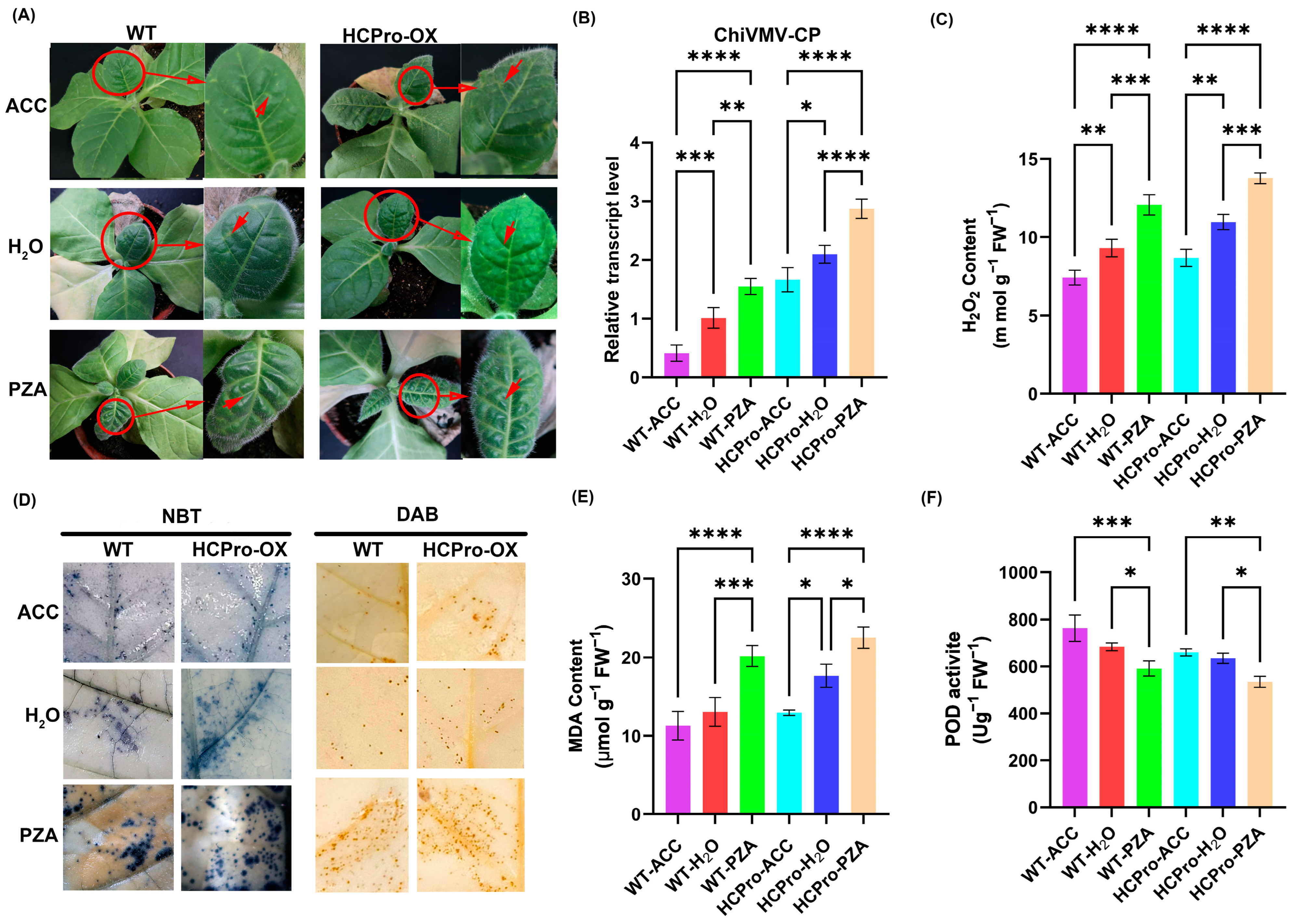Viruses 17 00602 g008