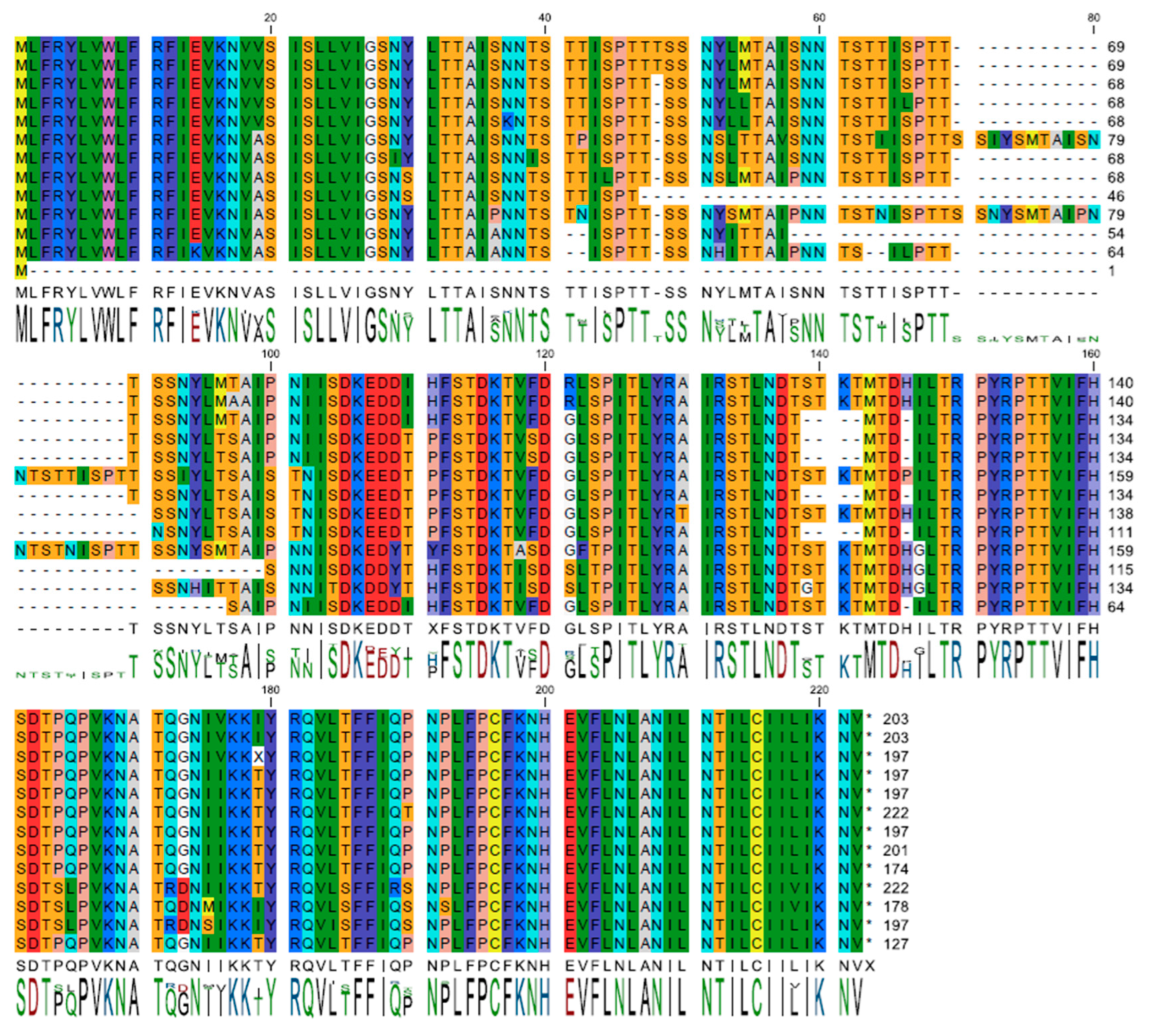 Viruses 17 00603 g001