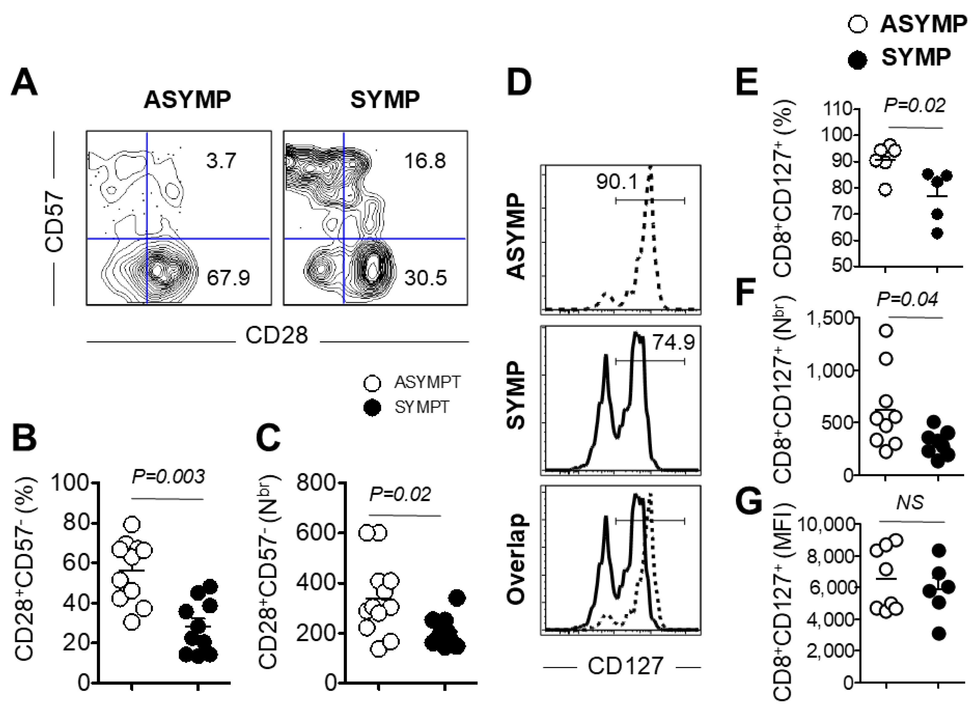 Viruses 17 00606 g005