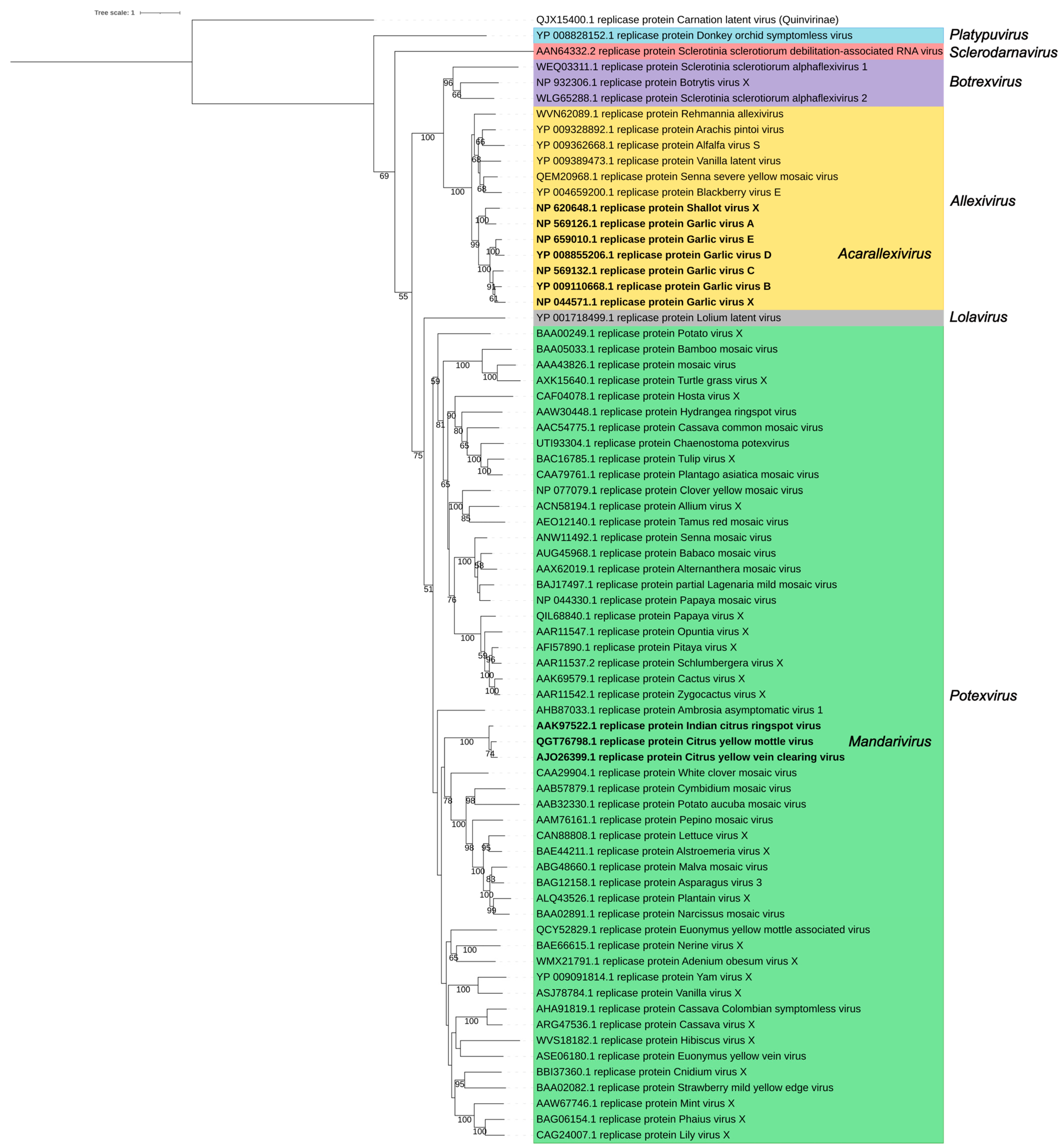 Viruses 17 00611 g005