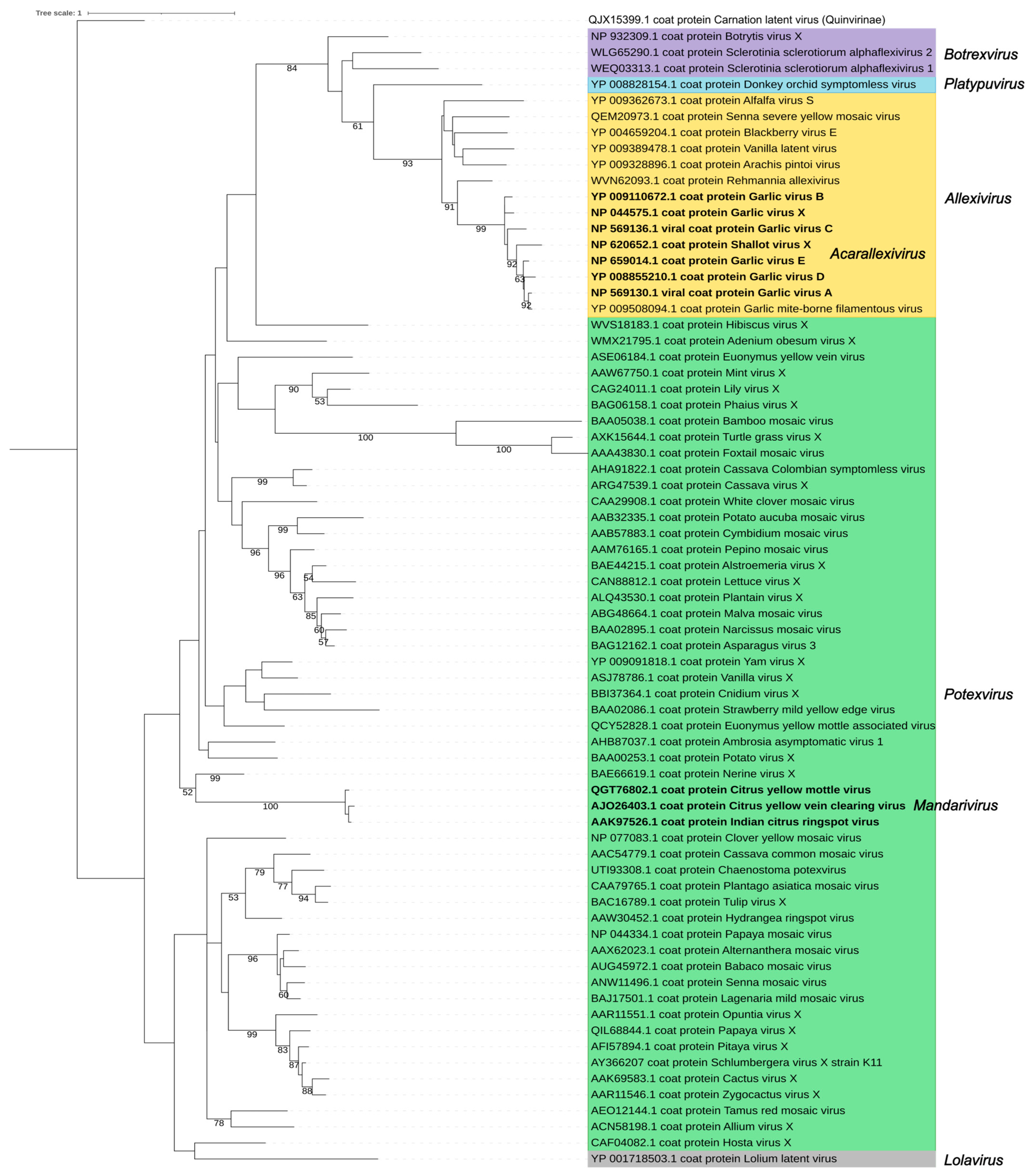 Viruses 17 00611 g007