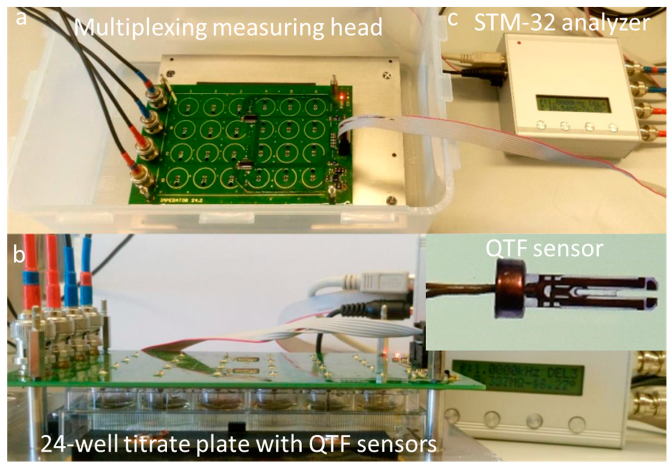Viruses 17 00615 g001