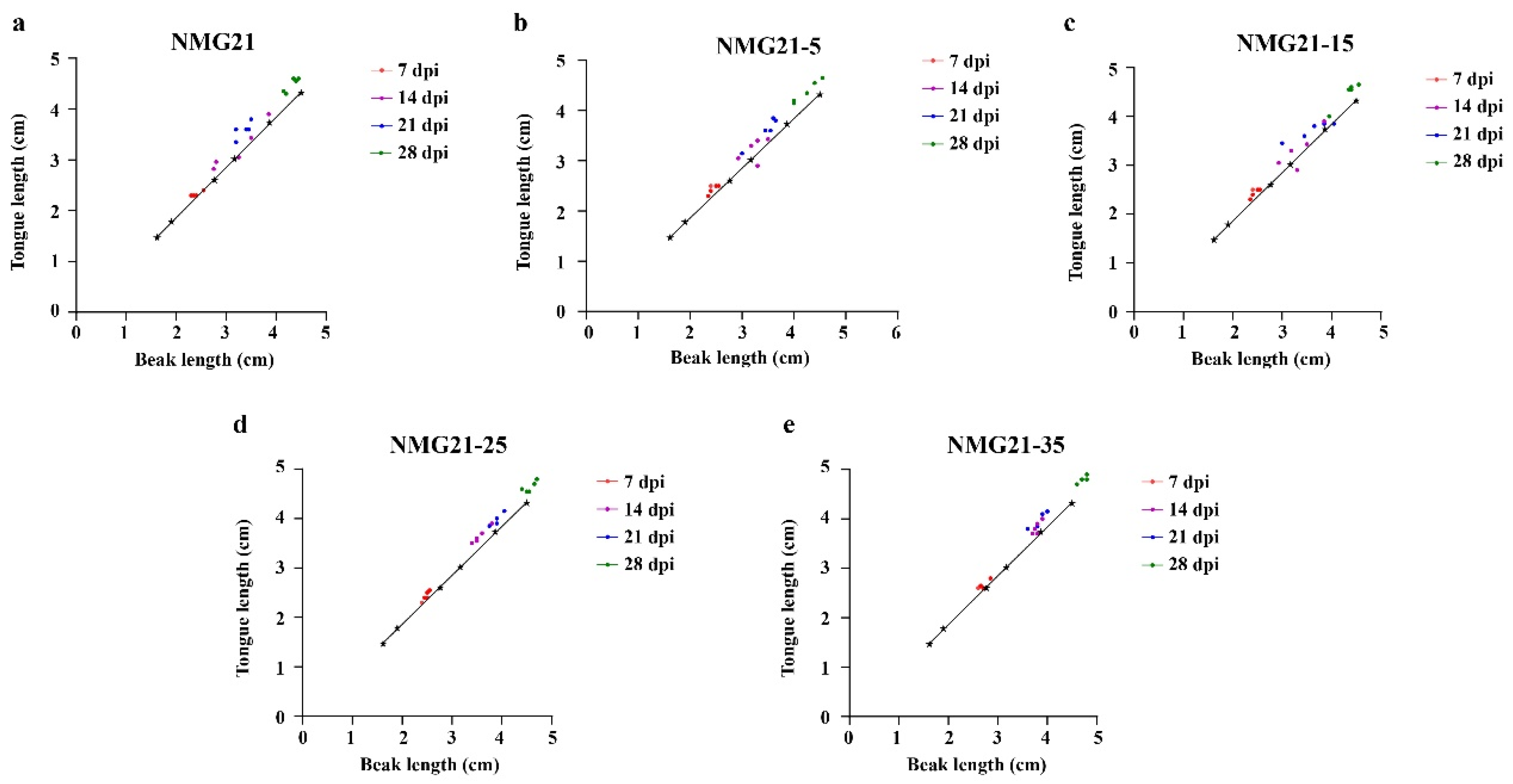 Viruses 17 00618 g004