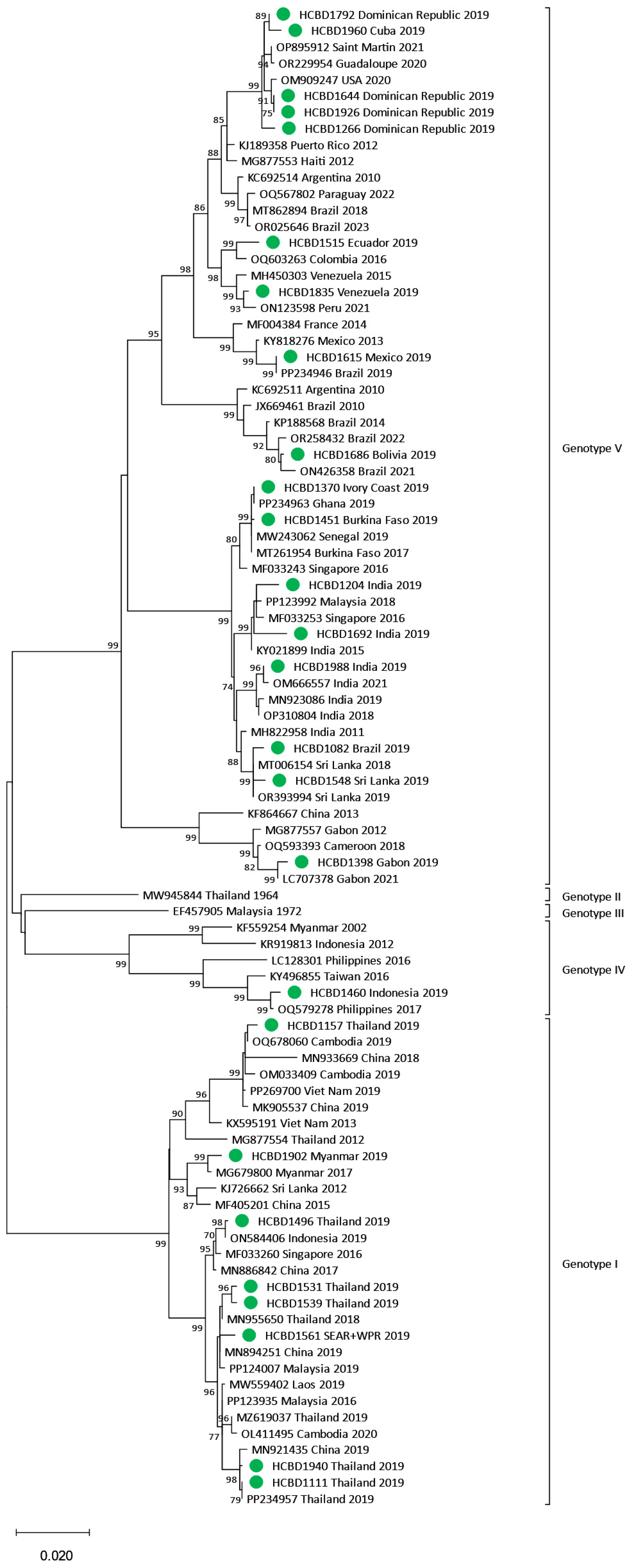 Viruses 17 00621 g002