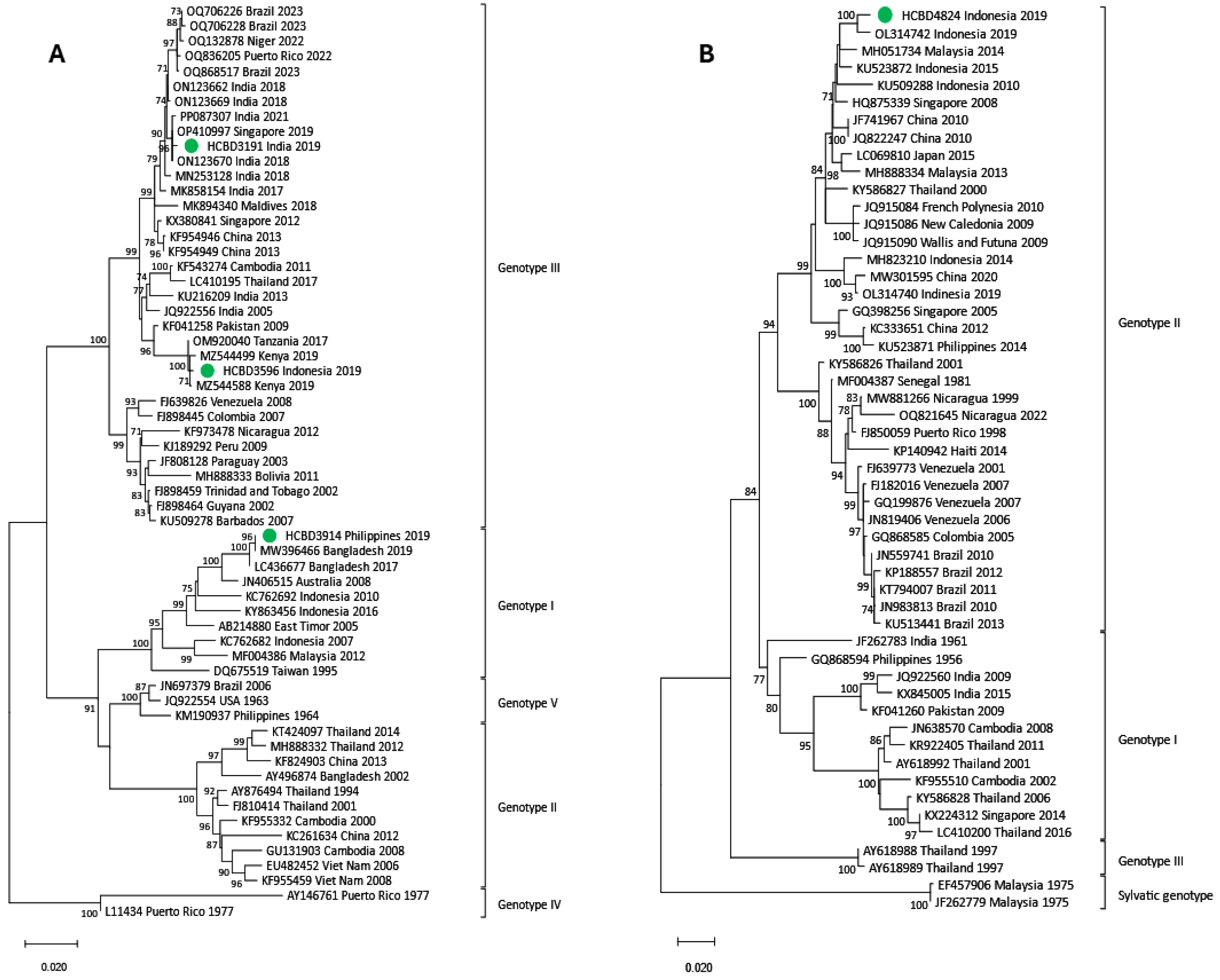 Viruses 17 00621 g004